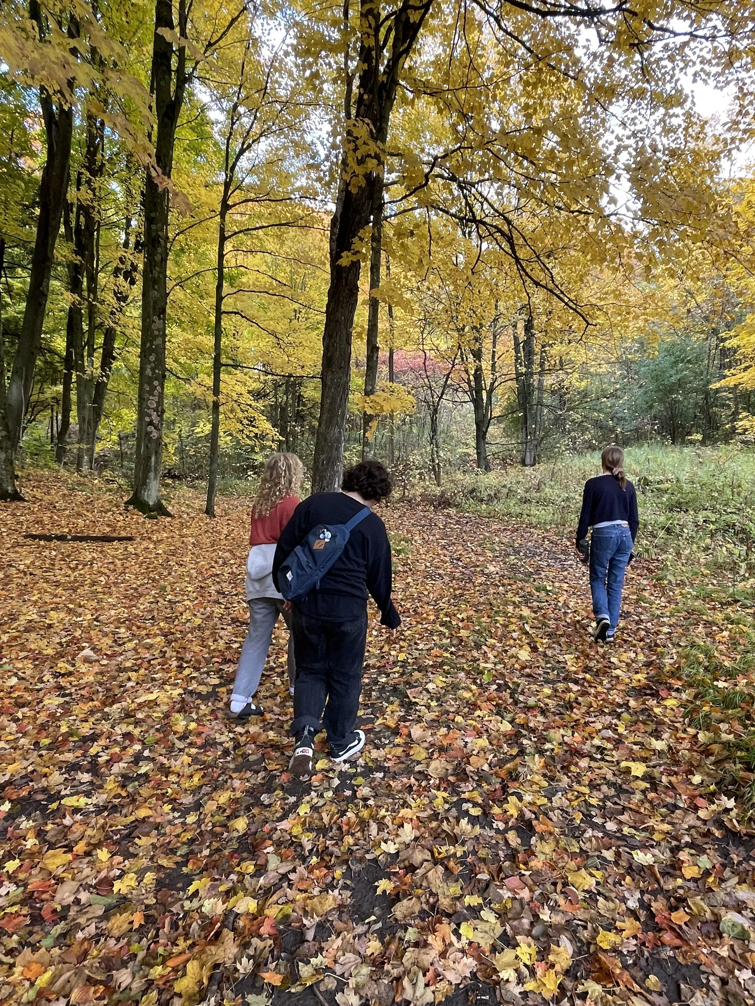 Three children walking on a leaf-covered trail in a forest during autumn.