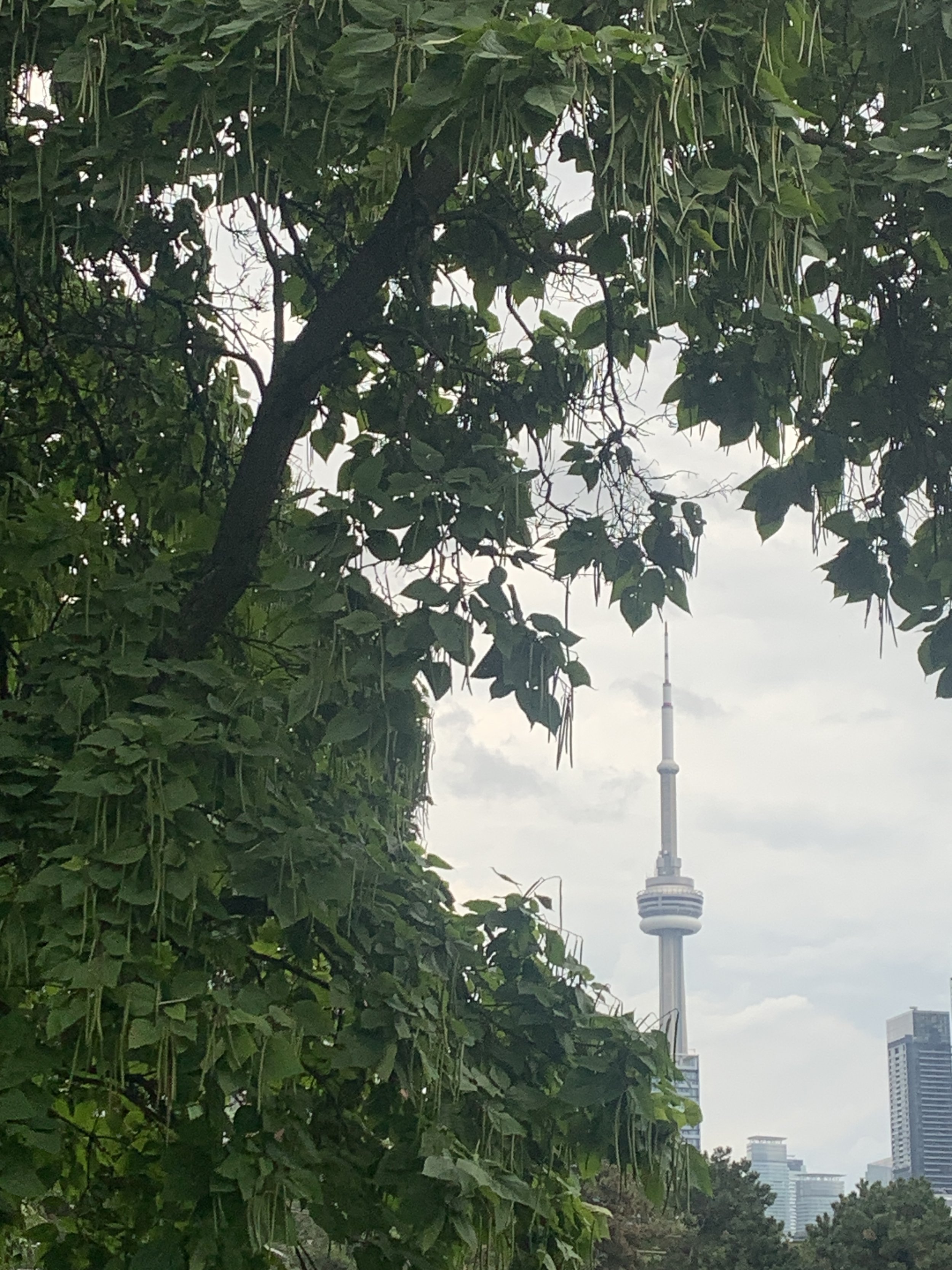 Toronto from Stanley park