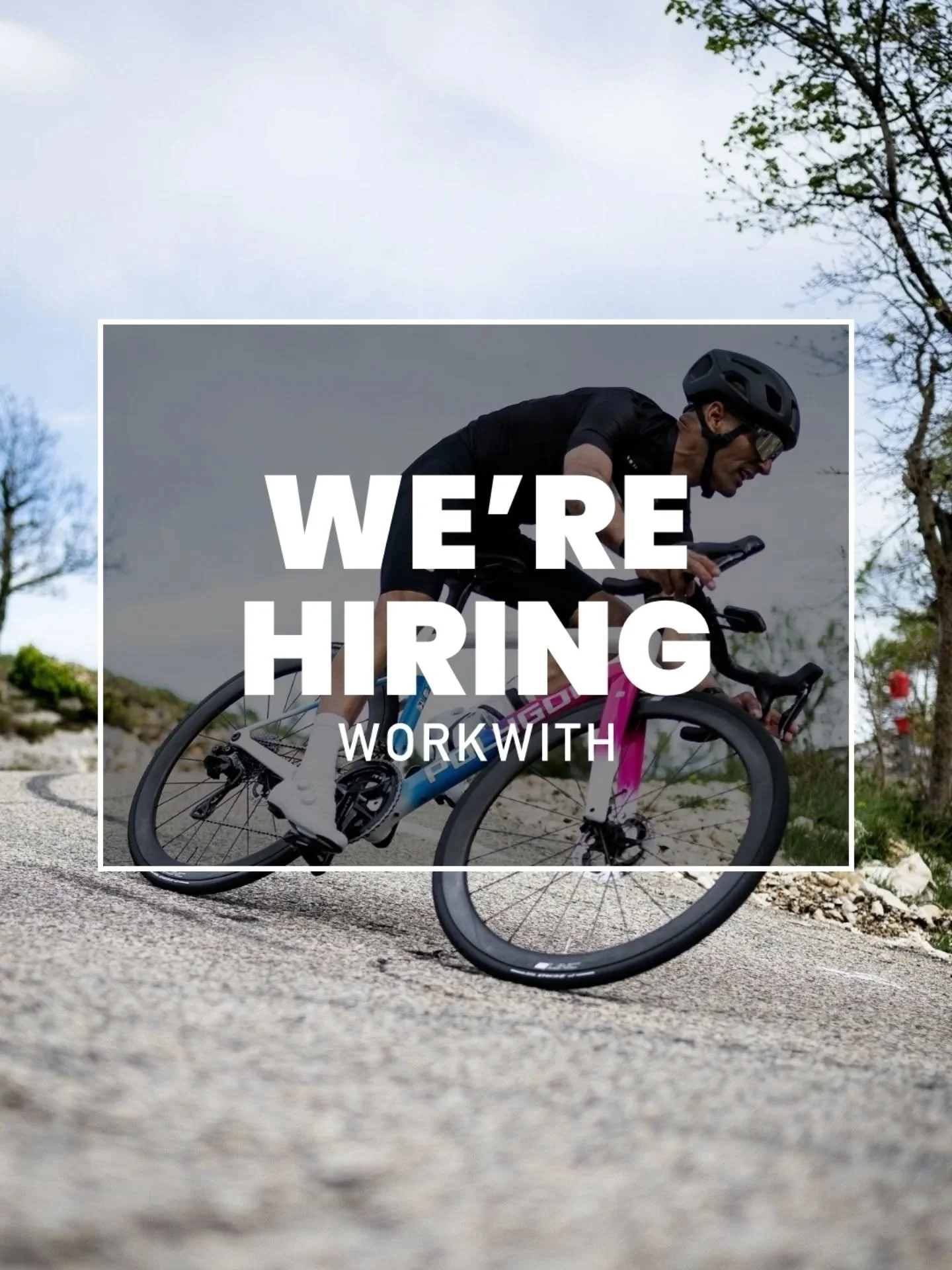 Do you have a passion for sport? Do you like keeping up to date with the latest social media and marketing trends?

We&rsquo;re on the lookout for a Digital Marketing Executive to join our team at one of the fastest-growing digital sports agencies on