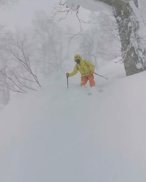 Vieni a scoprire la neve polverosa migliore del mondo prossimo viaggio Japan freeride 11-21.01.2025 #japow #japowhokkaido #swissmountainguide #nevepolverosa #powderday #konayuki