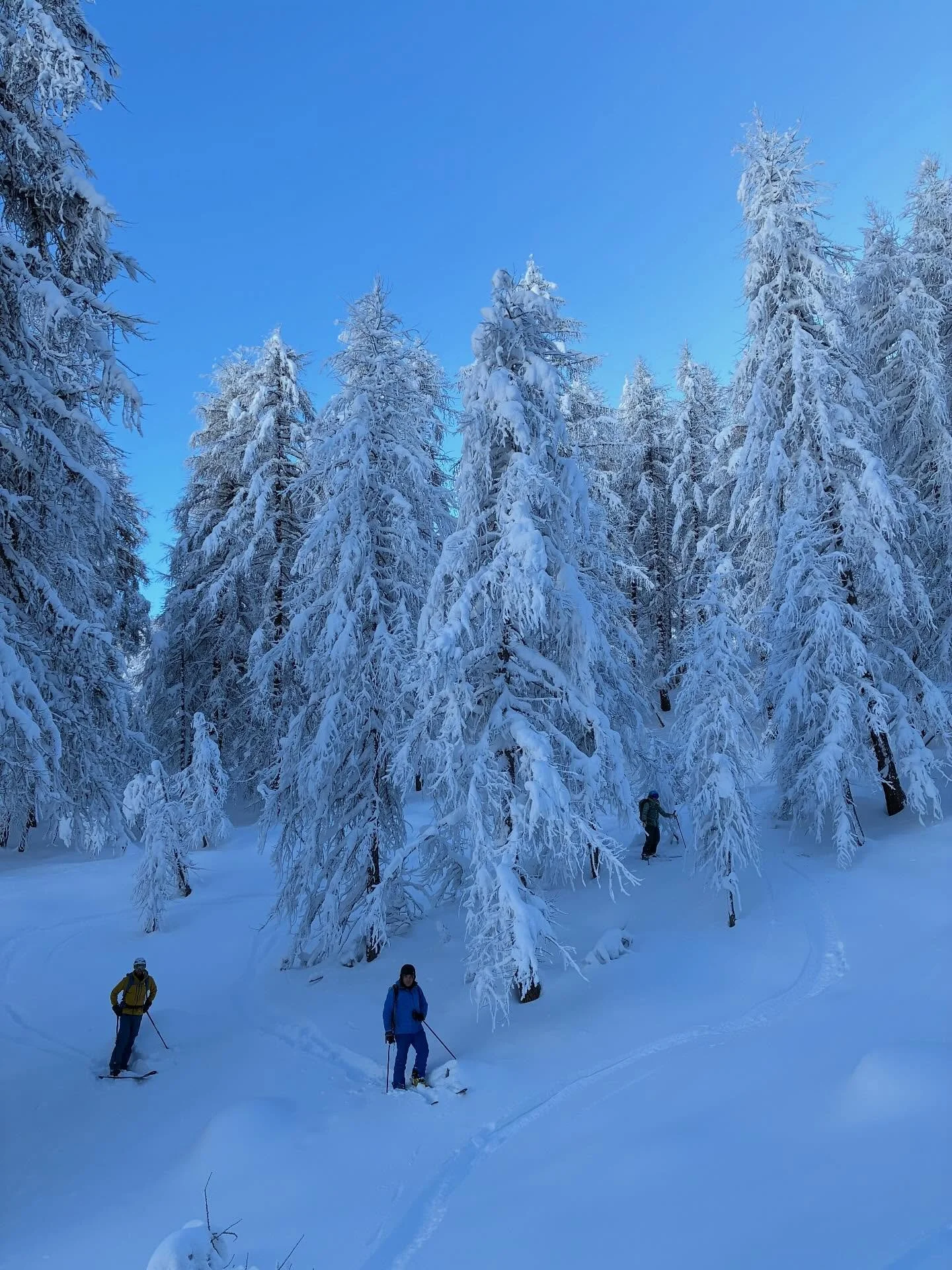 Magic Piedmont #swissmountainguide #nevepolverosa #powderday #nofakenews