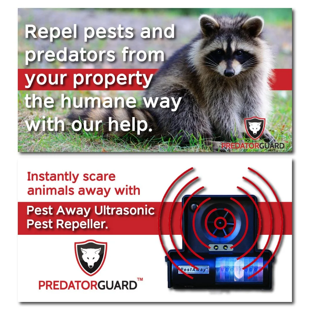 predator-guard-posts.jpg