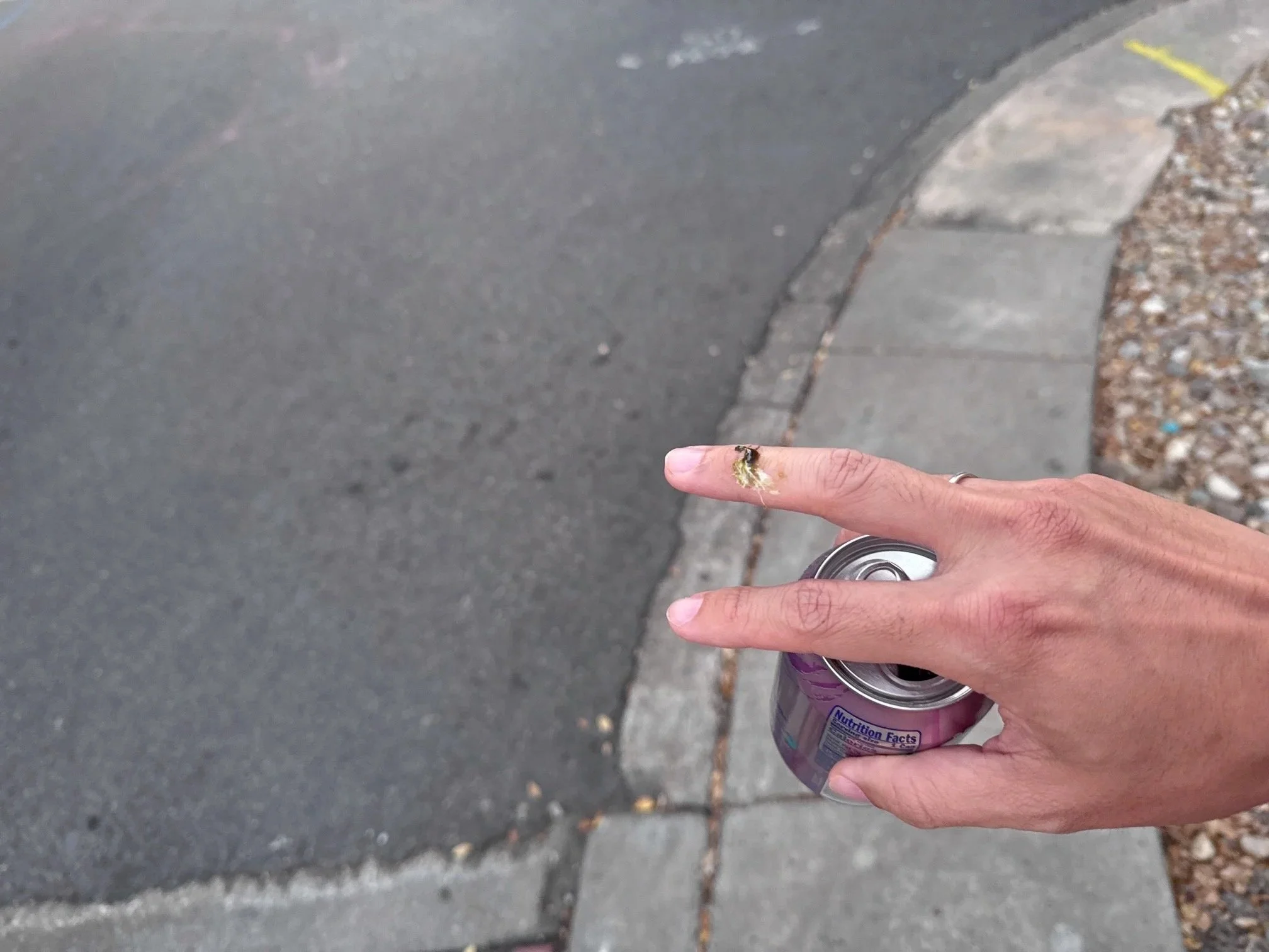 Bird Pooped On Third Time in My Life