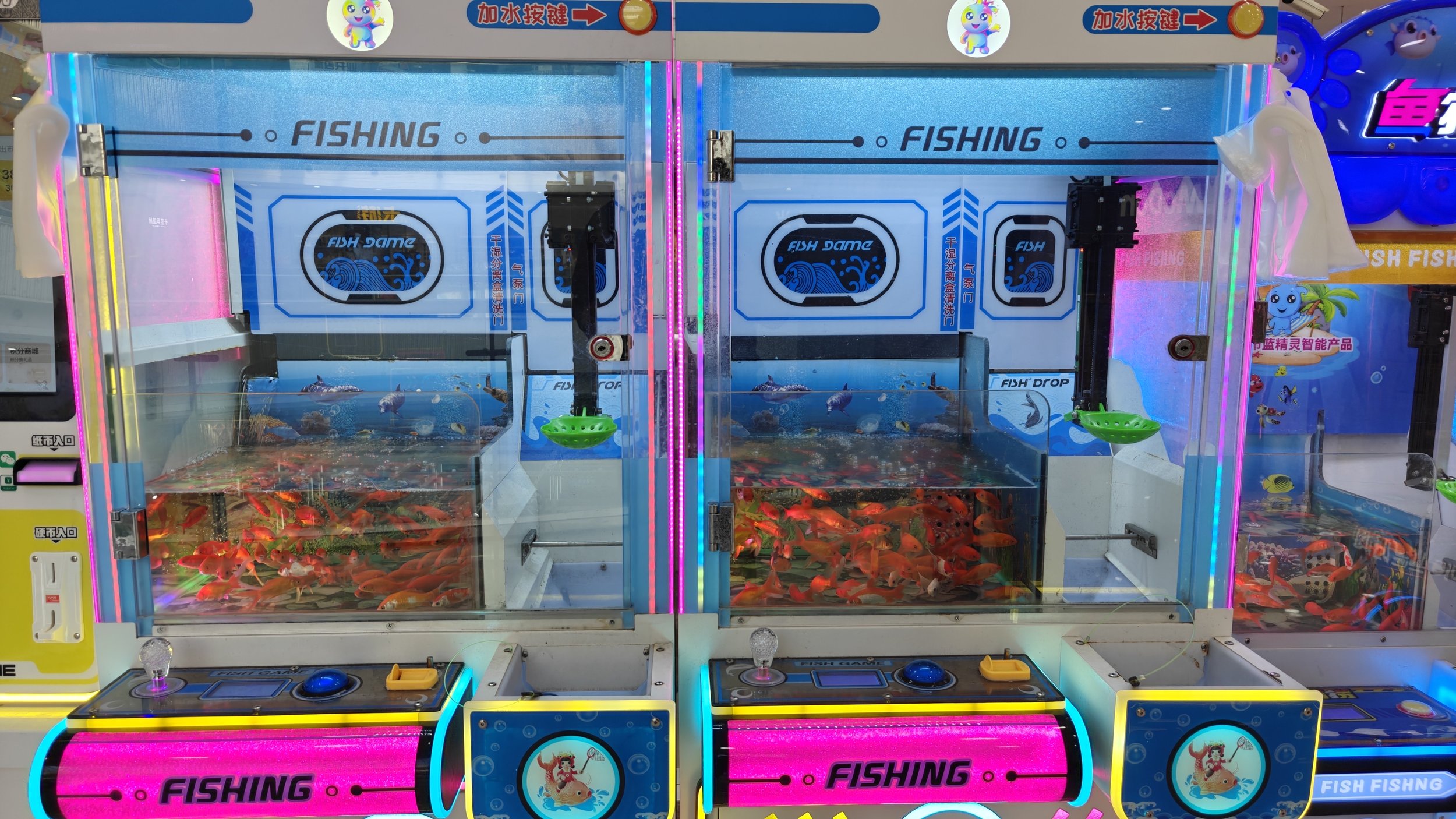 Goldfish UFO Catcher