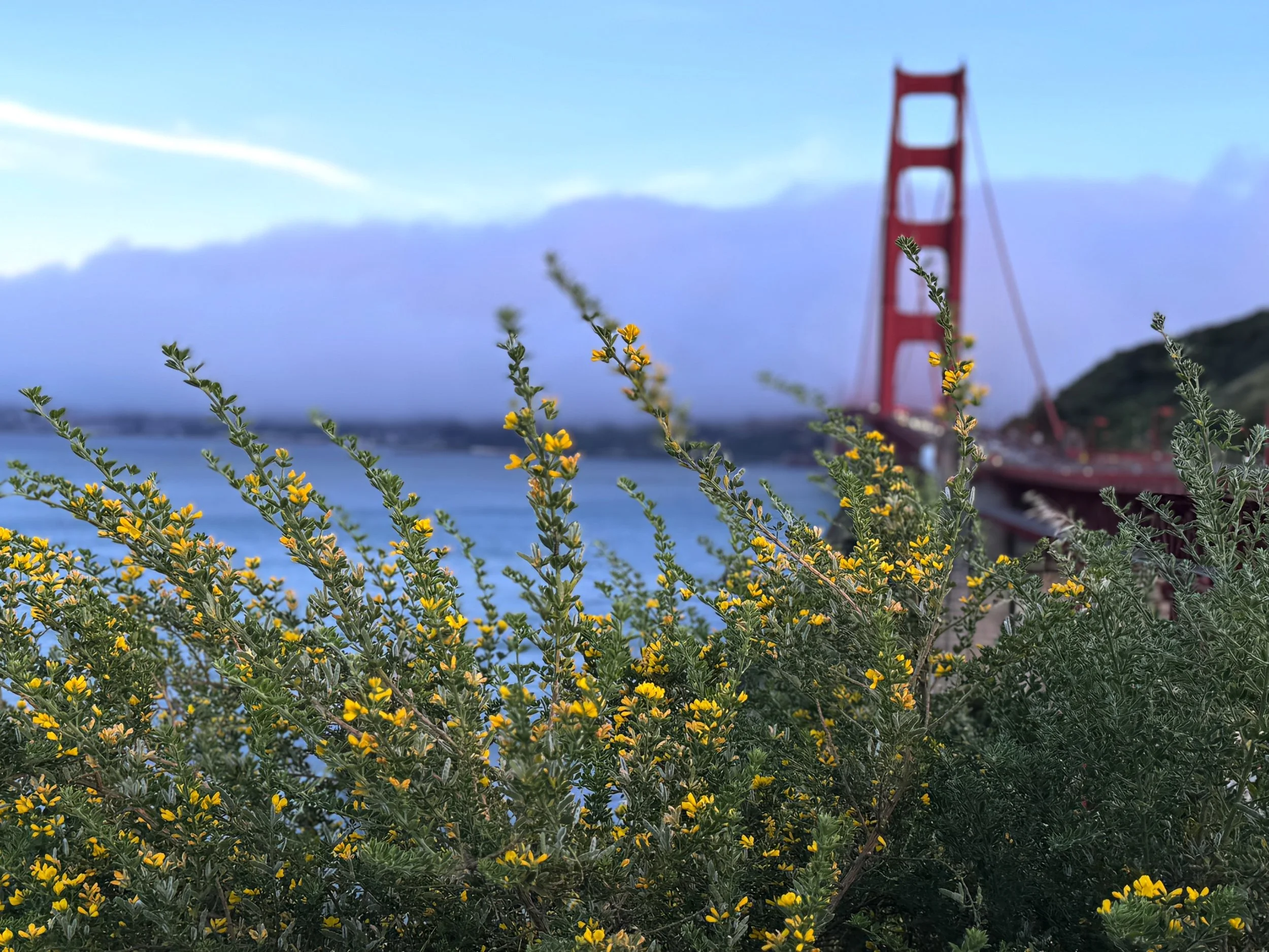 San Francisco
