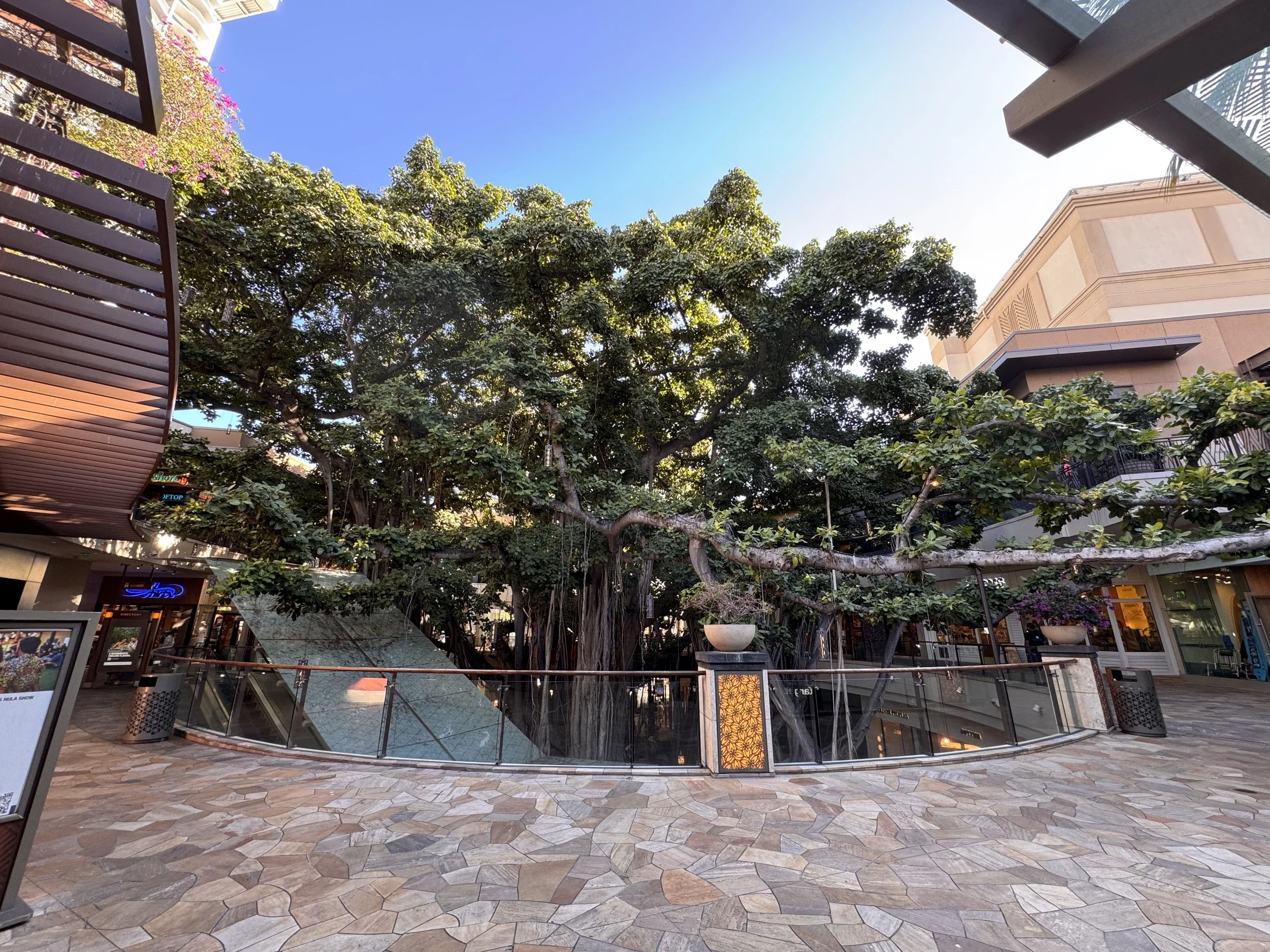 International Market Place - Honolulu, HI