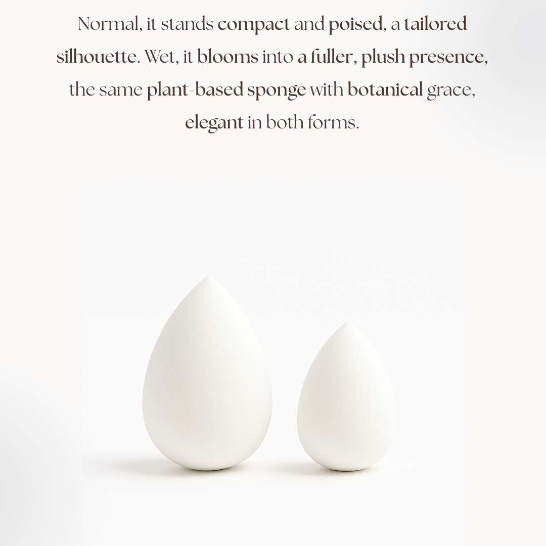 Pearl Sponge Size.png