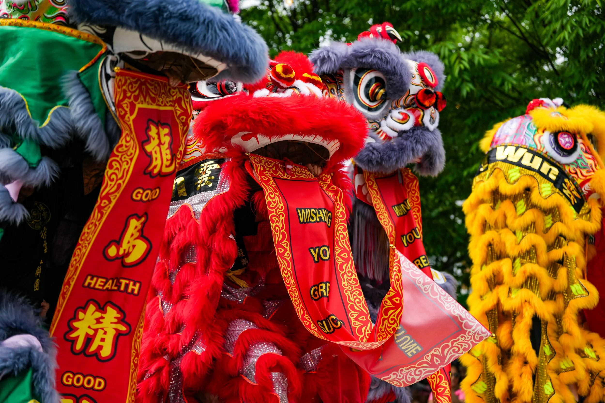 otfba 2026 asian street festival-84.jpg