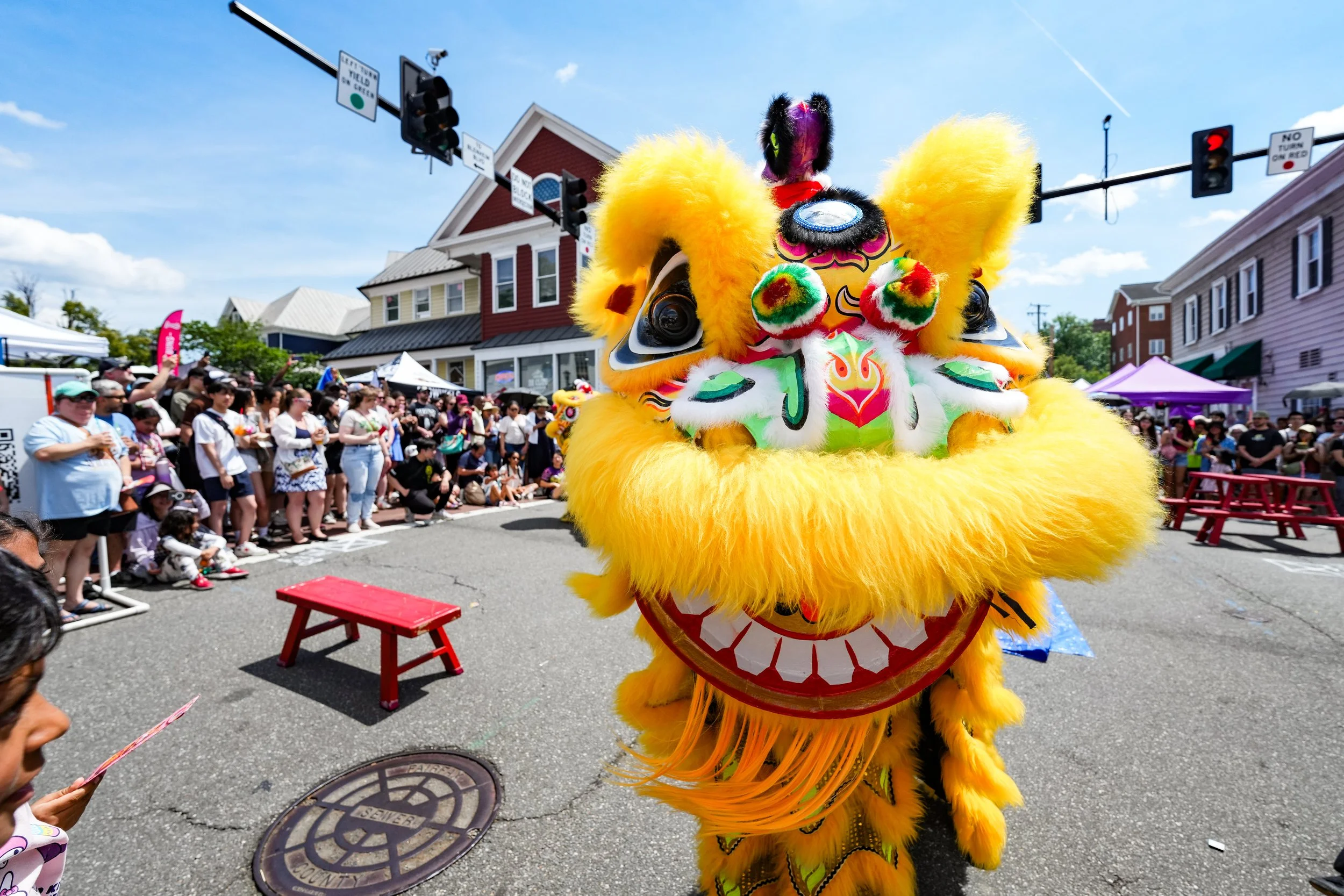 otfba 2026 asian street festival-304.jpg