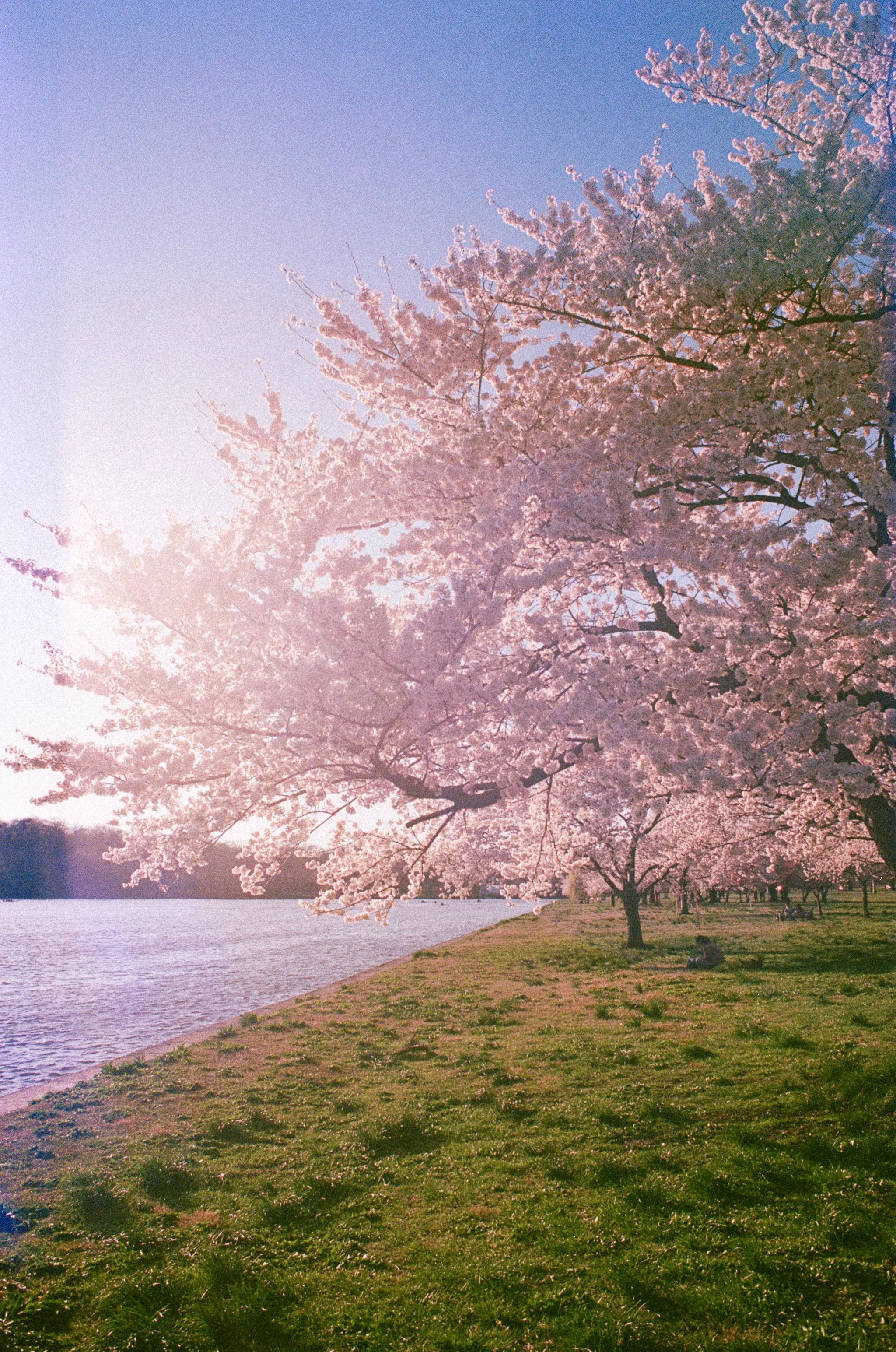 000000370005-Edit.jpg