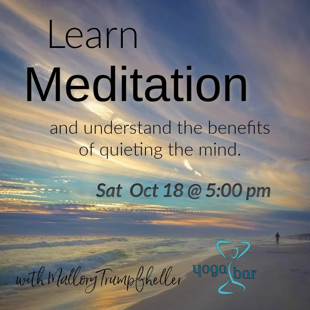 Meditation Workshop