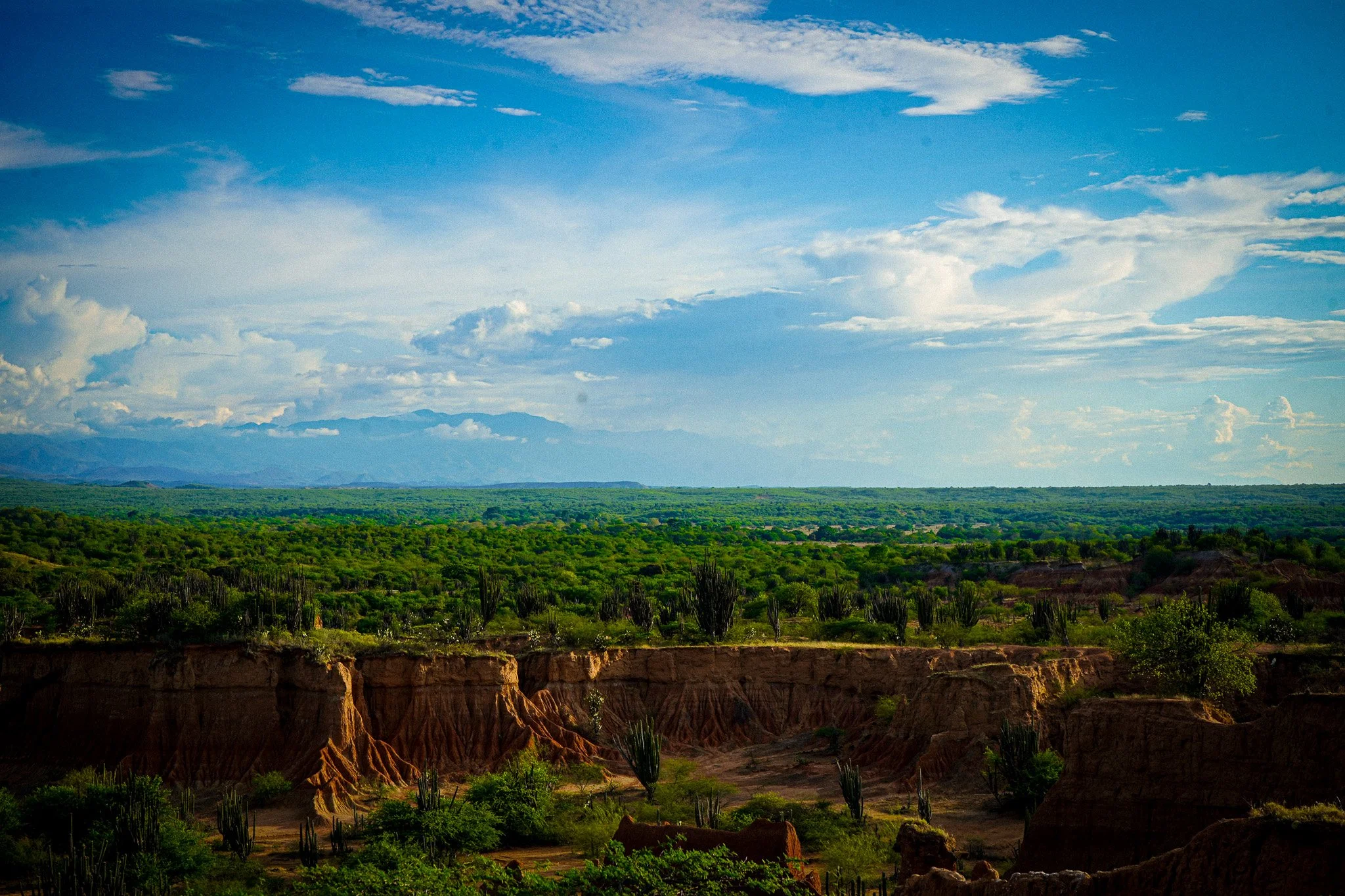 A landscape with green vegetation, purple and brown canyon walls, and a bright blue sky with scattered clouds.