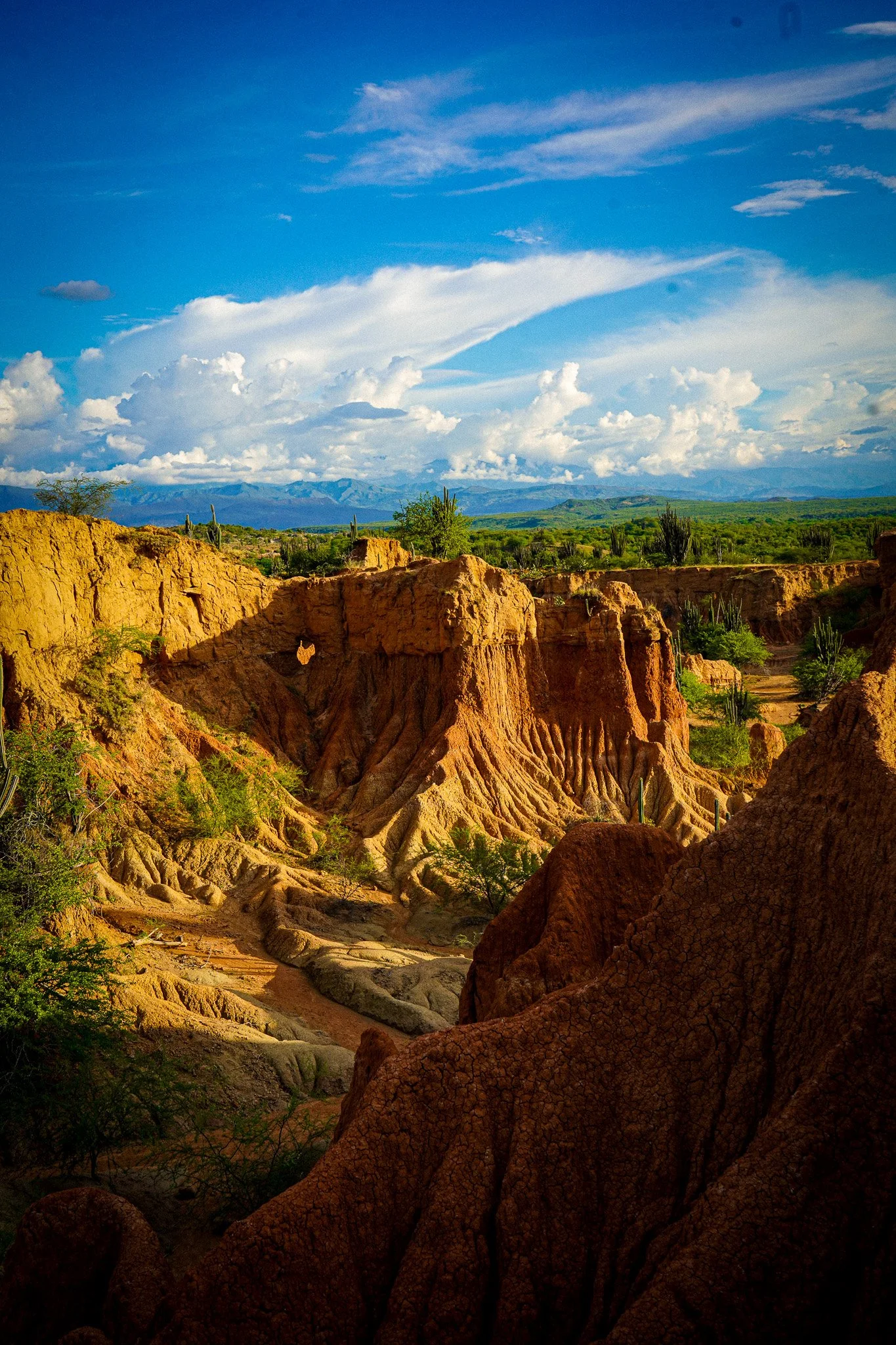 A landscape of red rock formations with green desert vegetation, cacti, and distant mountains under a partly cloudy sky.