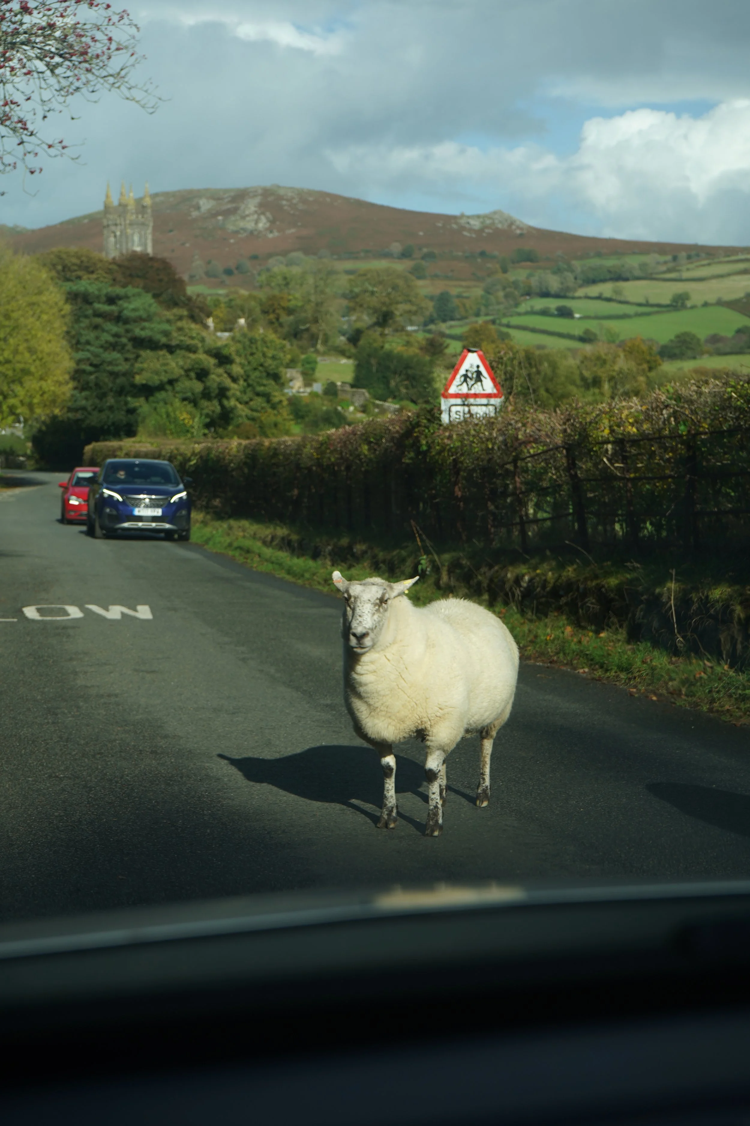 A sheep standing in the middle of a rural road with cars parked on the side, a warning sign of sheep crossing, and a scenic background of hills, trees, and a castle-like building.
