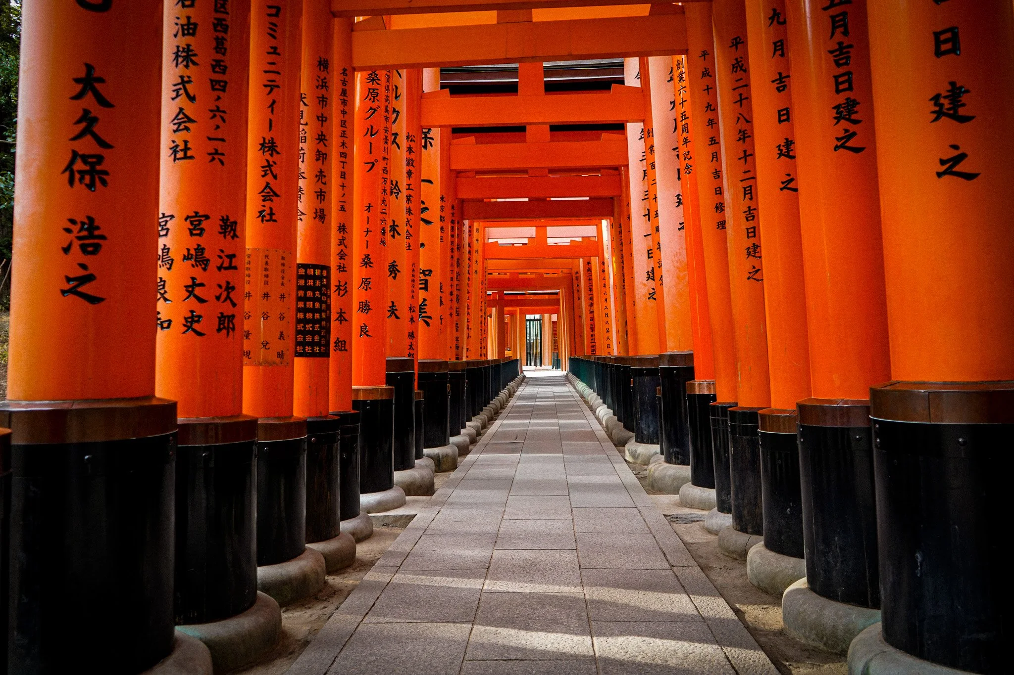 A pathway through numerous bright orange torii gates at a Japanese shrine, with black Japanese characters inscribed on each gate, leading into the distance.