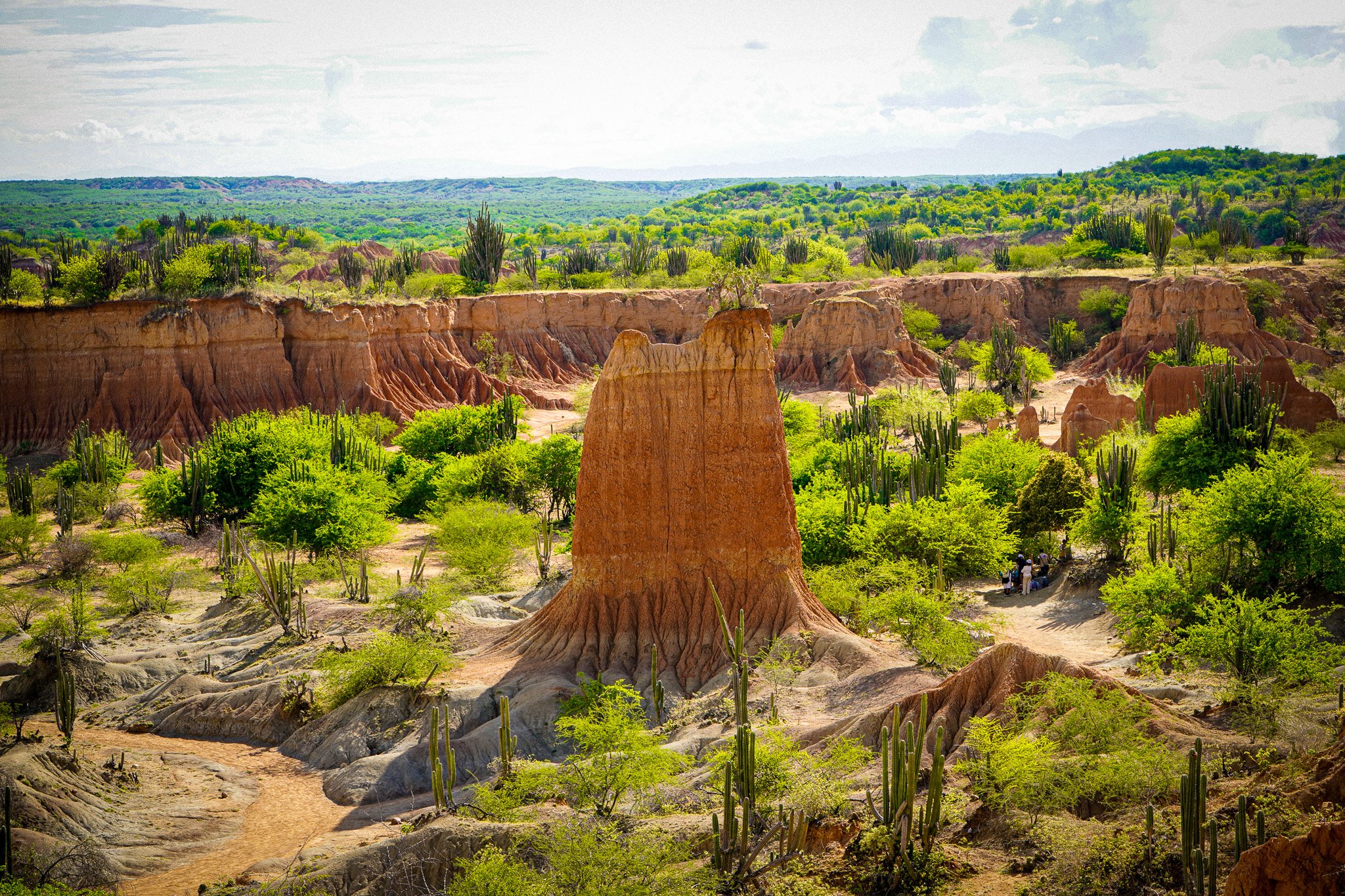 A landscape view of a desert area with tall cacti, eroded rock formations, and green vegetation under a partly cloudy sky.