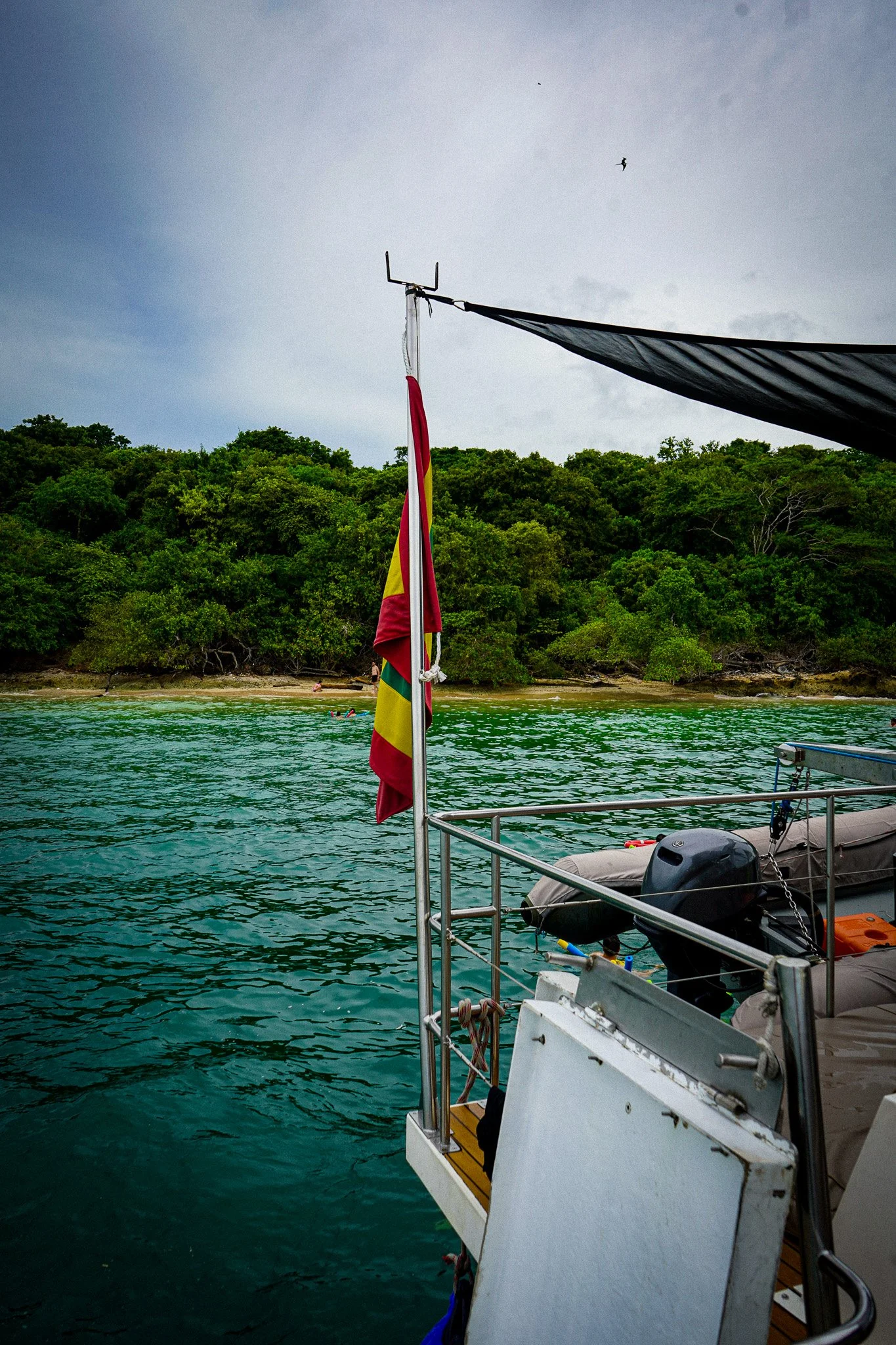 View of a boat with a flag and a canopy on calm green water, with lush green trees on the shore and a cloudy sky above.