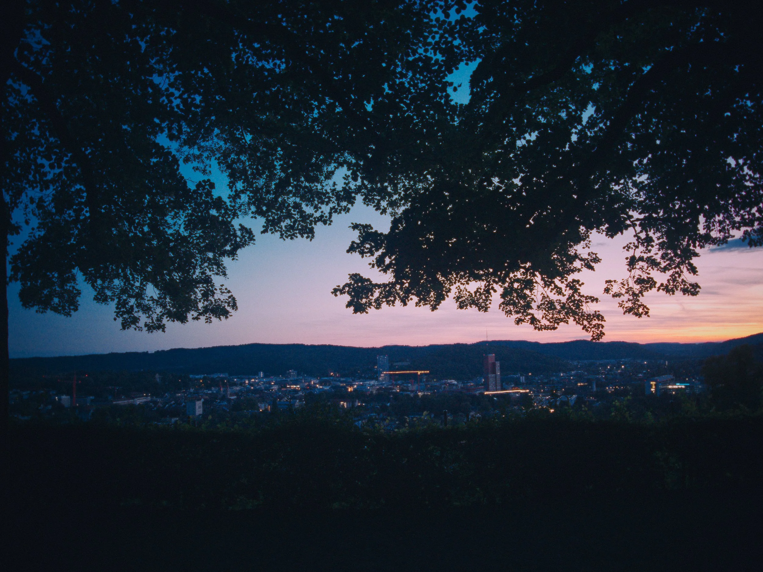 Blick auf eine Stadt bei Sonnenuntergang, umrahmt von dunklen Baumkronen, mit Lichtern in der Stadt. Der Himmel ist pastellfarben, mit Blau, Pink und Orange.