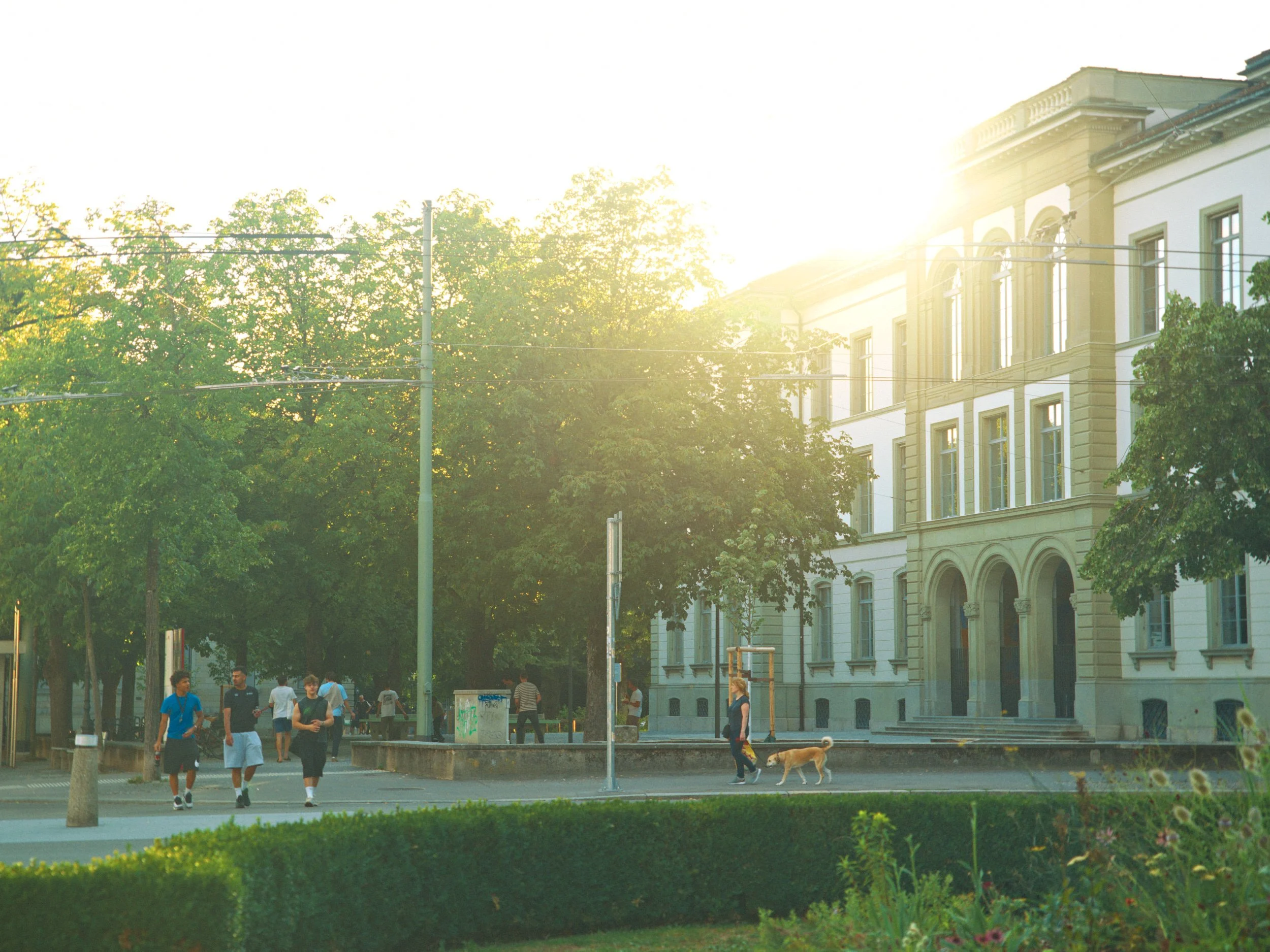Stadtplatz mit Menschen, Bäumen und historischem Gebäude bei Sonnenuntergang.