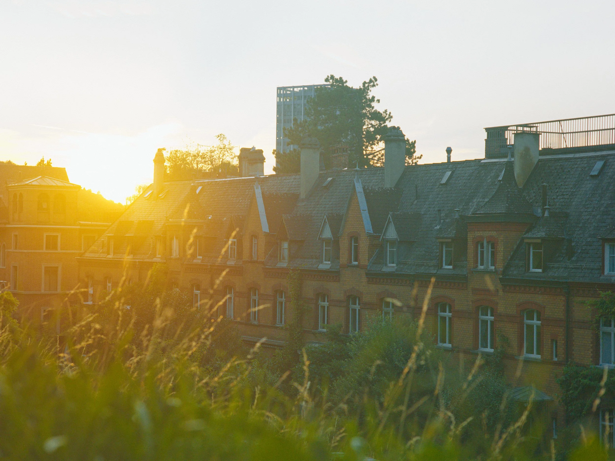 Sonnenuntergang über einer Stadt mit roten Backsteinhäusern, Schornsteinen und einem hohen Gebäude im Hintergrund, im Vordergrund Gräser.