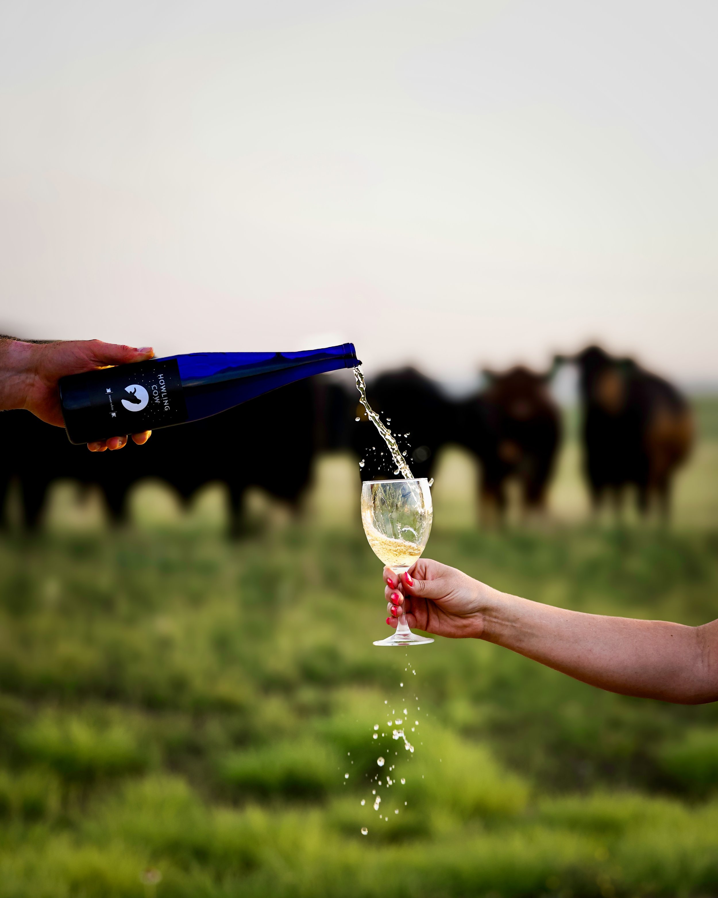 Why Choose Texas Wines?