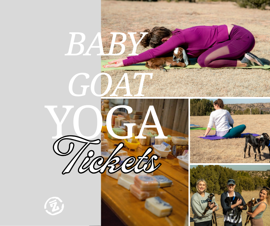 Baby Goat Yoga- Sunset Series