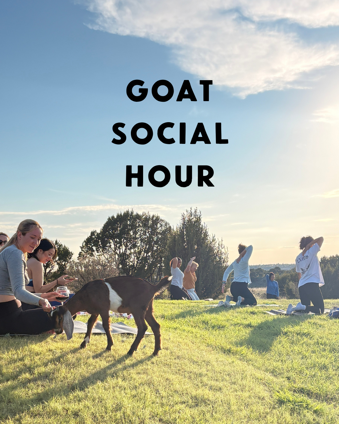 Sunset Goat Yoga (2).png