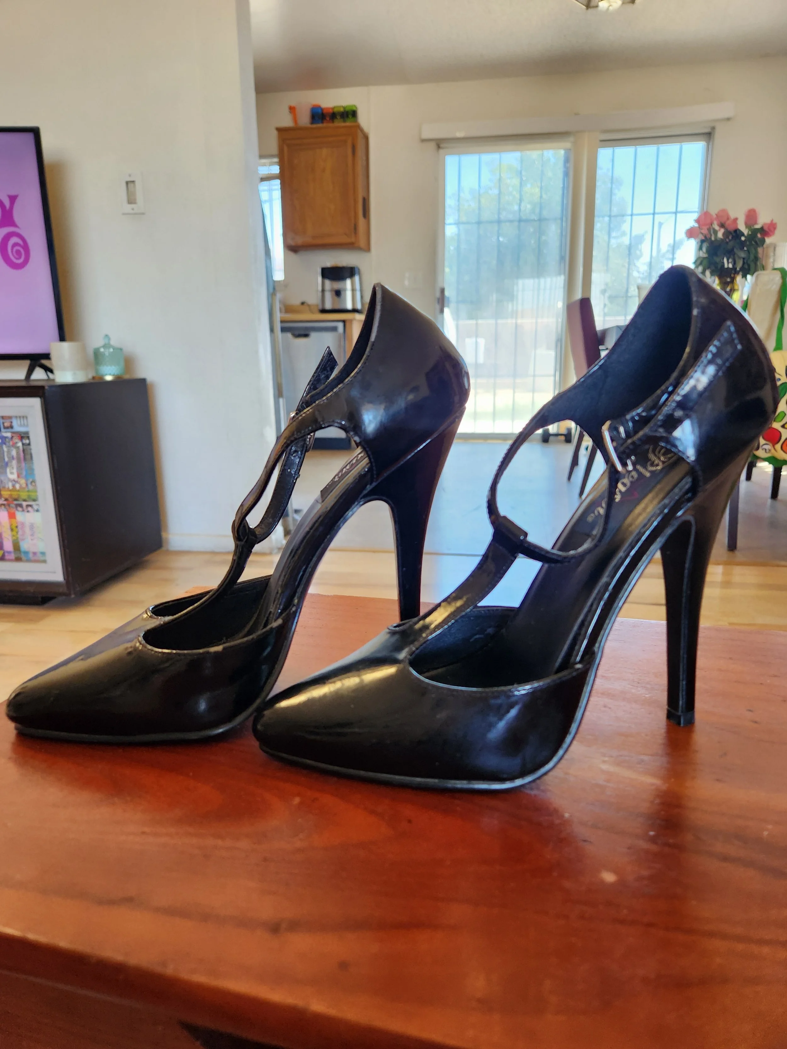 Pleaser Dominatrix Pumps