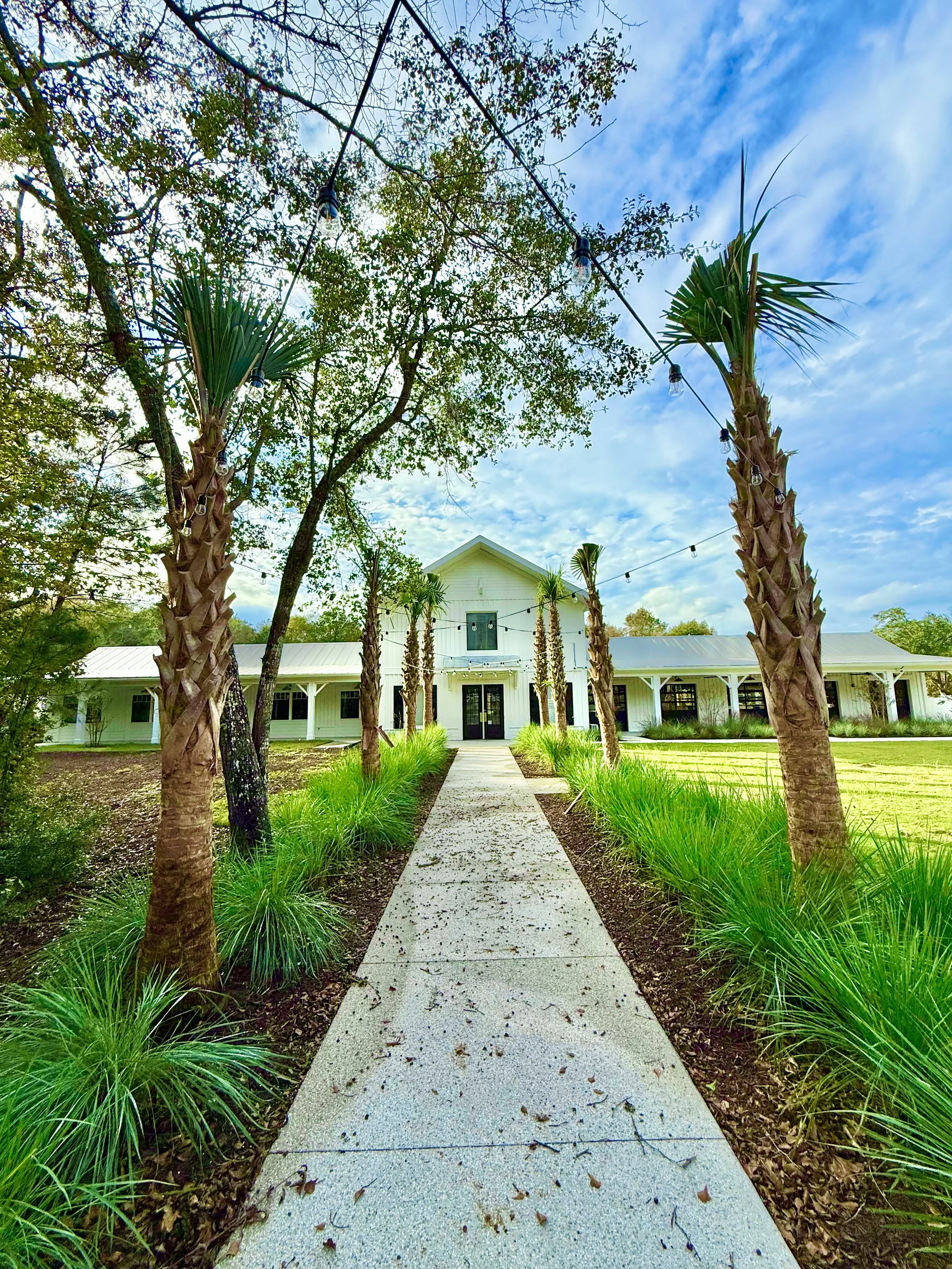 A straight concrete pathway leading to a white building with black doors, flanked by palm trees and green lawn, under a partly cloudy blue sky with string lights overhead.