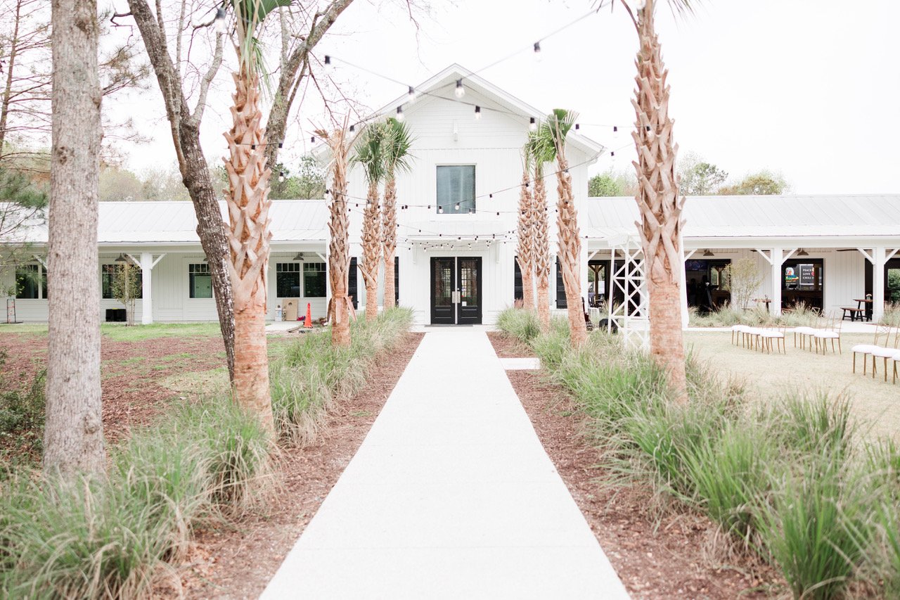 Modern white building with palm trees