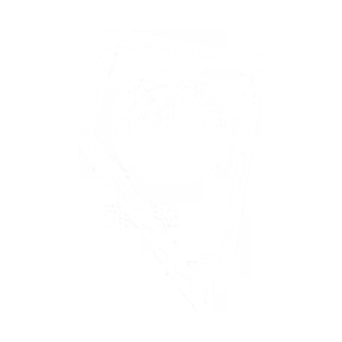 An icon of a ticket with a dollar on it.