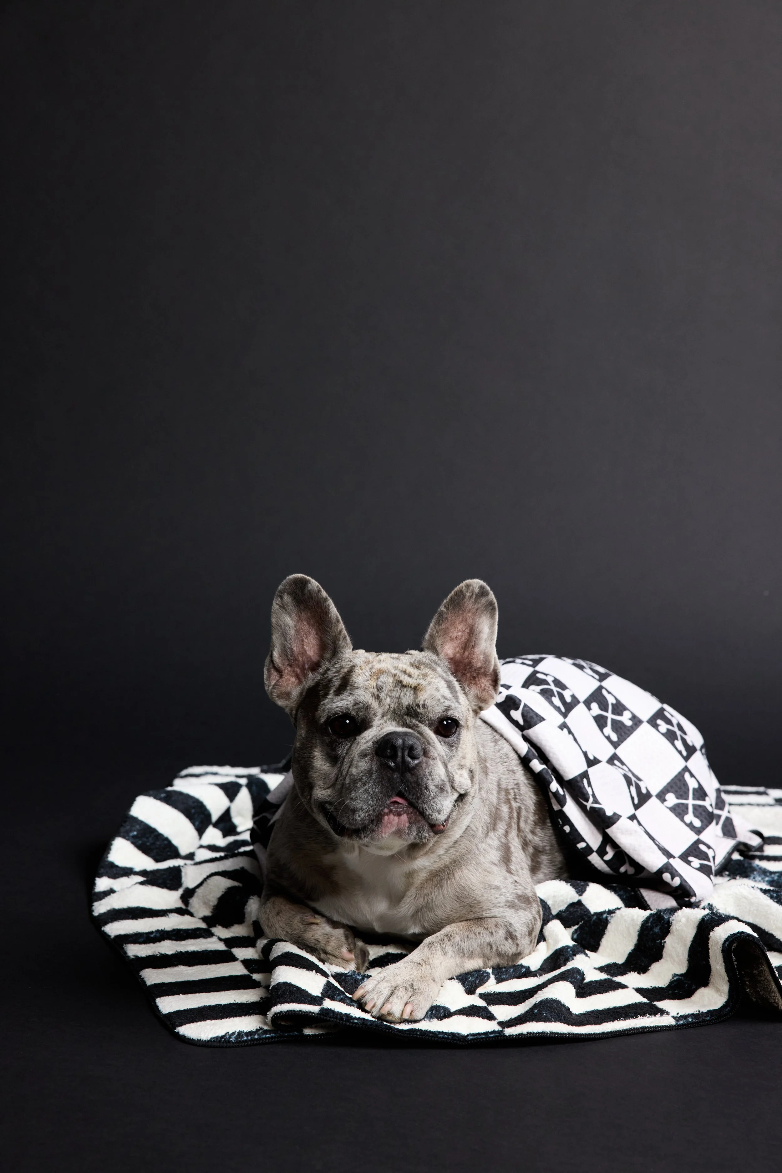 Geometry-Halloween-Studio4128 copy.jpg