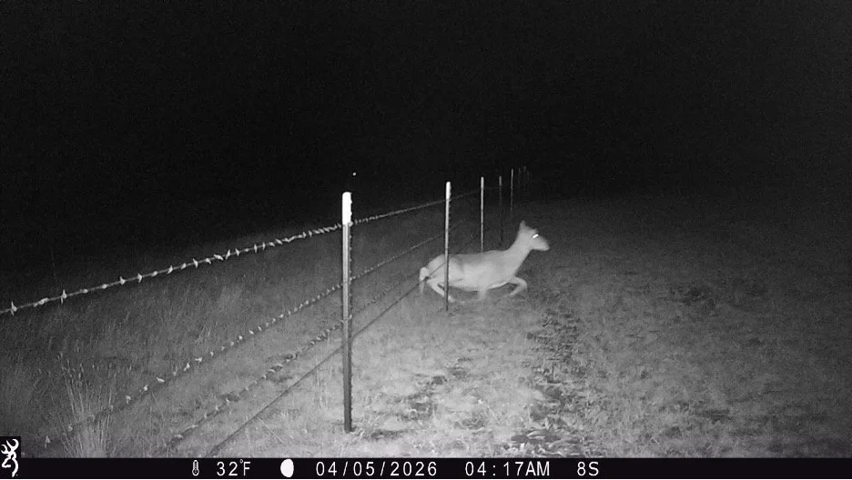 Progress for Pronghorn along U.S. HWY 212