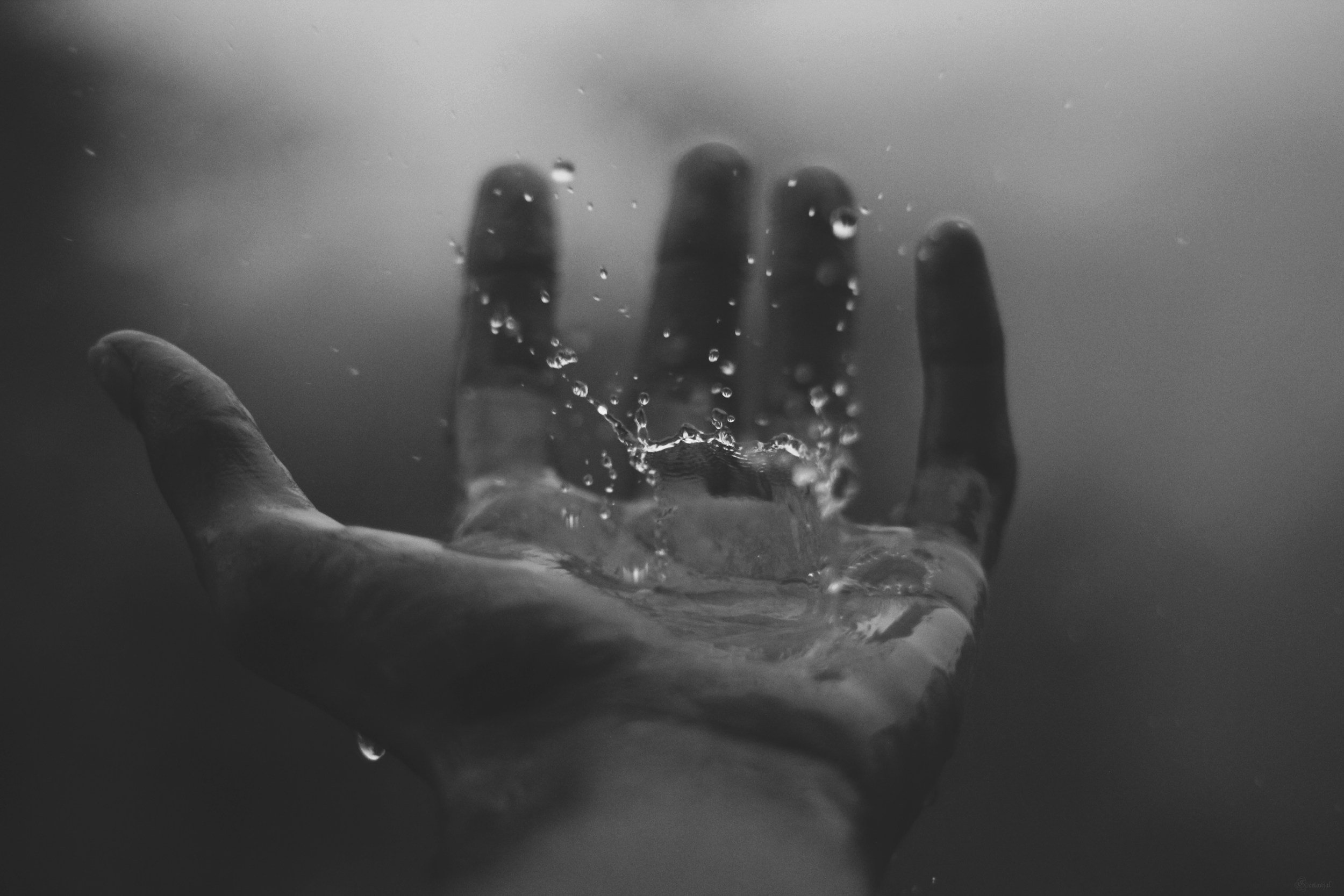 ‘Blessing’ by Imtiaz Dharker: Explained