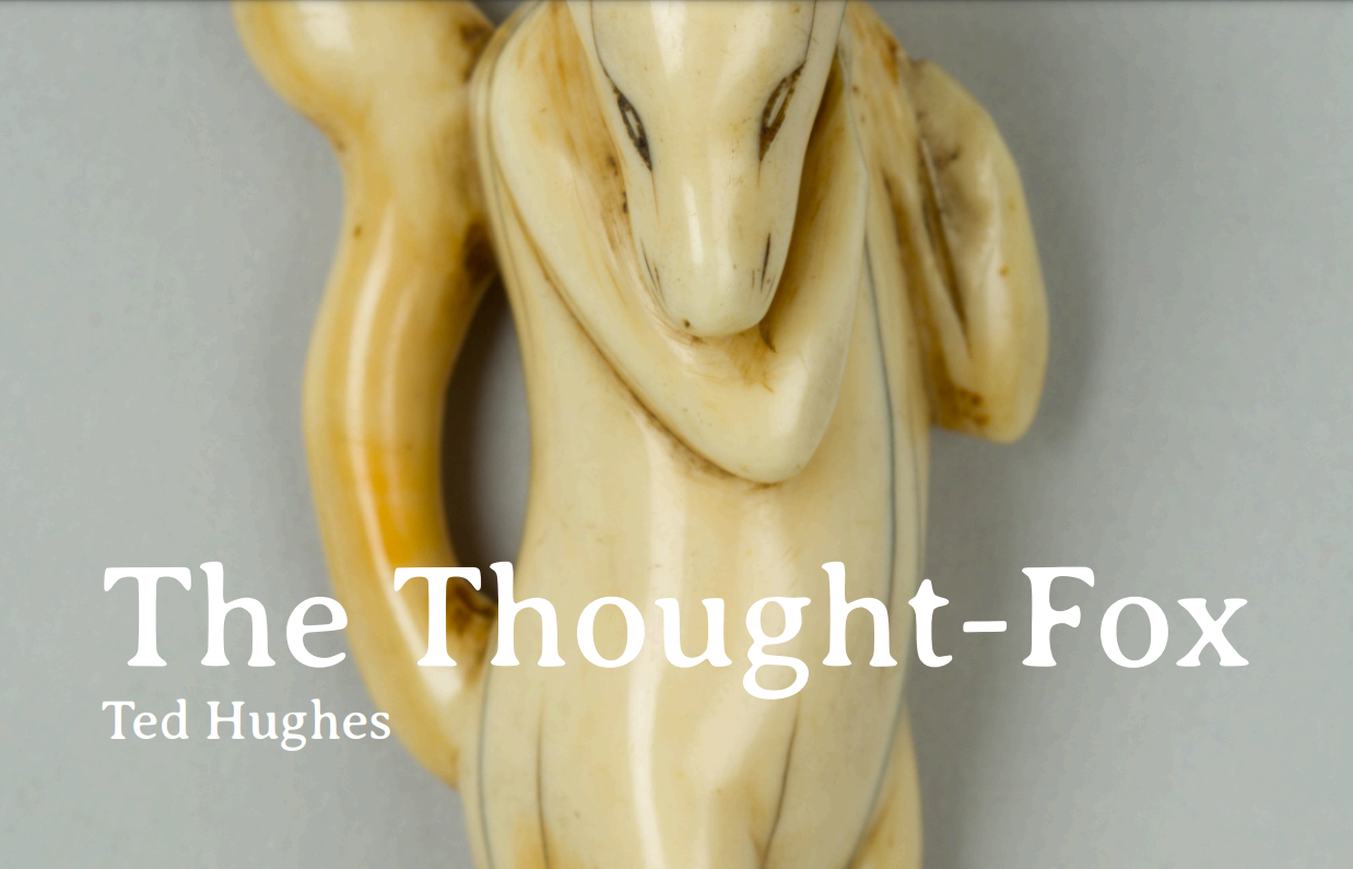 The Thought-Fox by Ted Hughes: What is it About? 