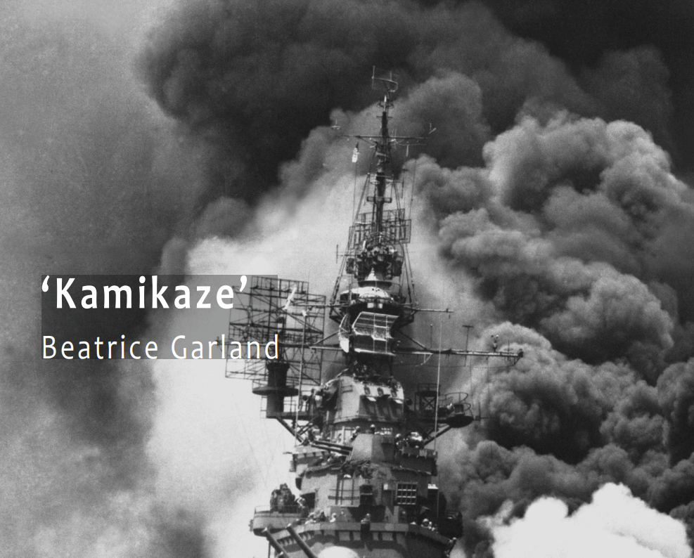 Who is the Speaker in ‘Kamikaze’ + Structural Analysis of the Poem