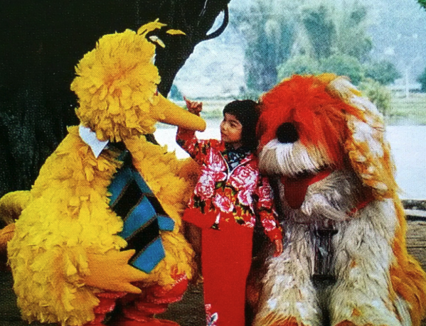 Big Bird in China