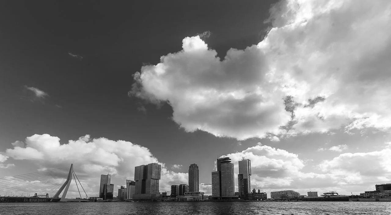 Rotterdam Skyline Wilhelminapier.jpg