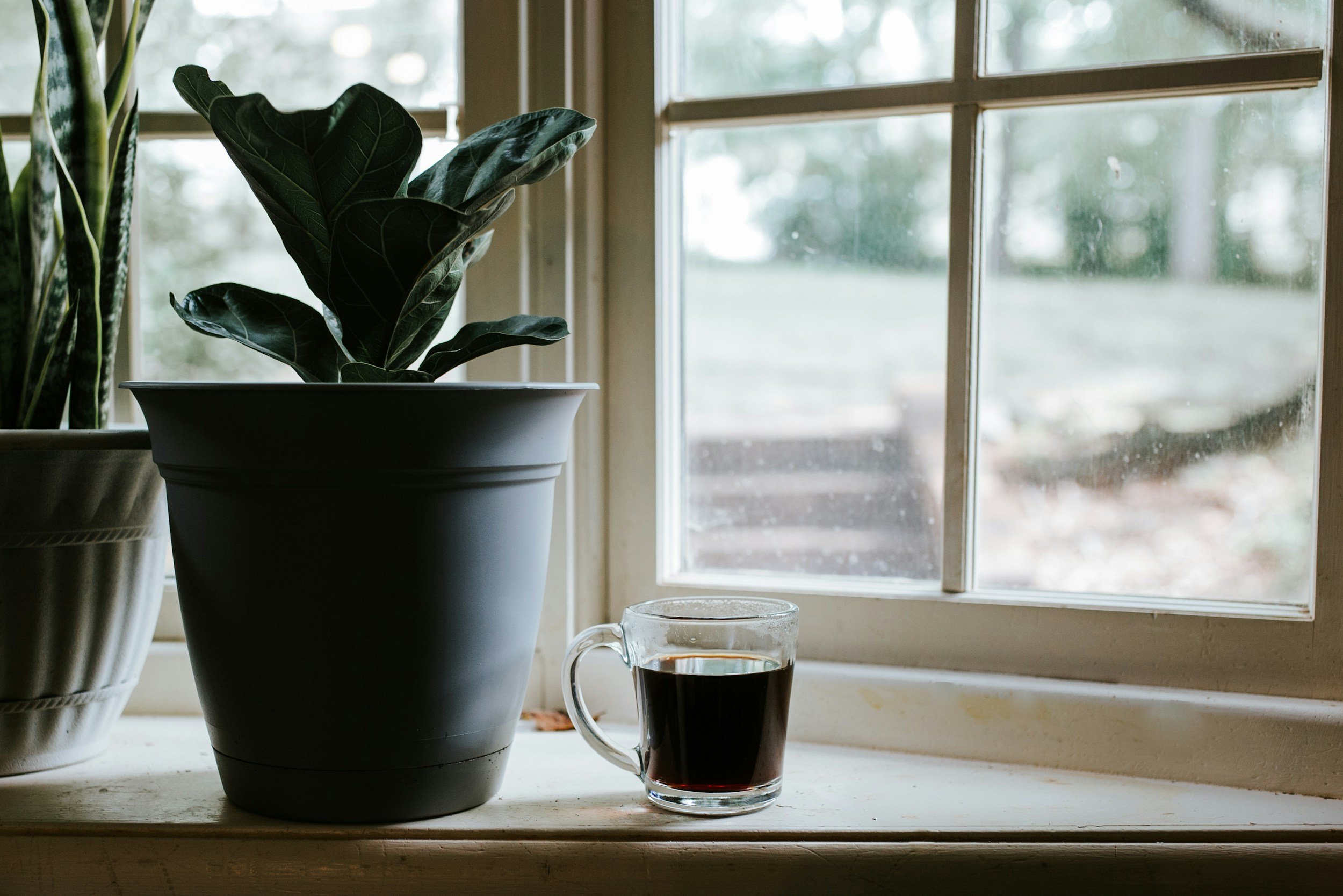 anxiety therapist Texas