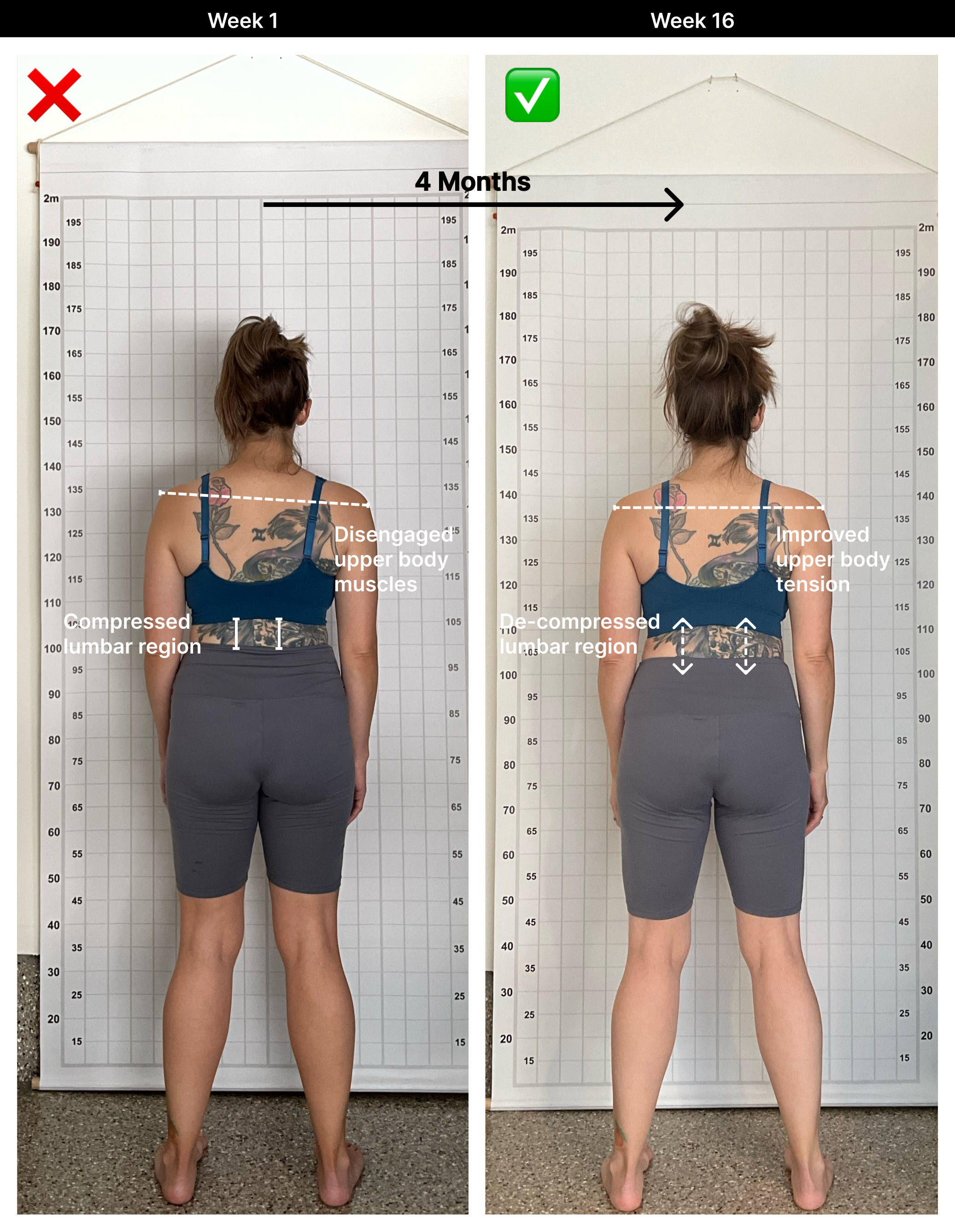 Maren - 4 Month [Posterior].png