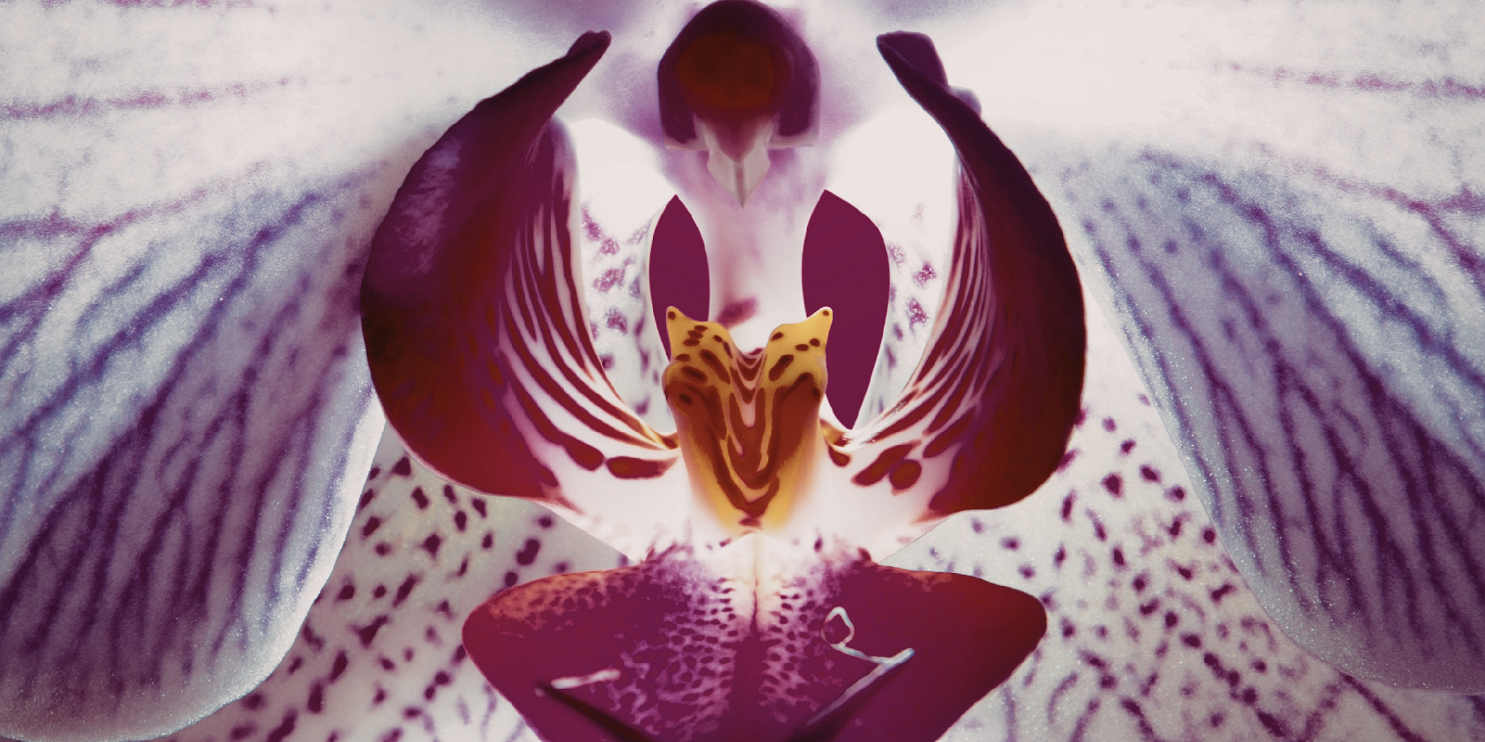 Birth Into Being - Limbic Imprint Recoding (May)