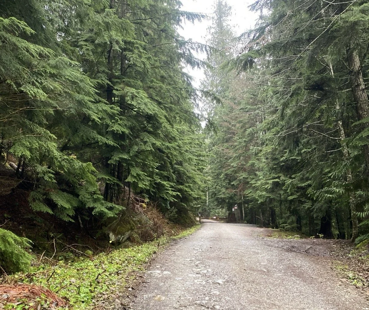 Current Conditions - December 6 