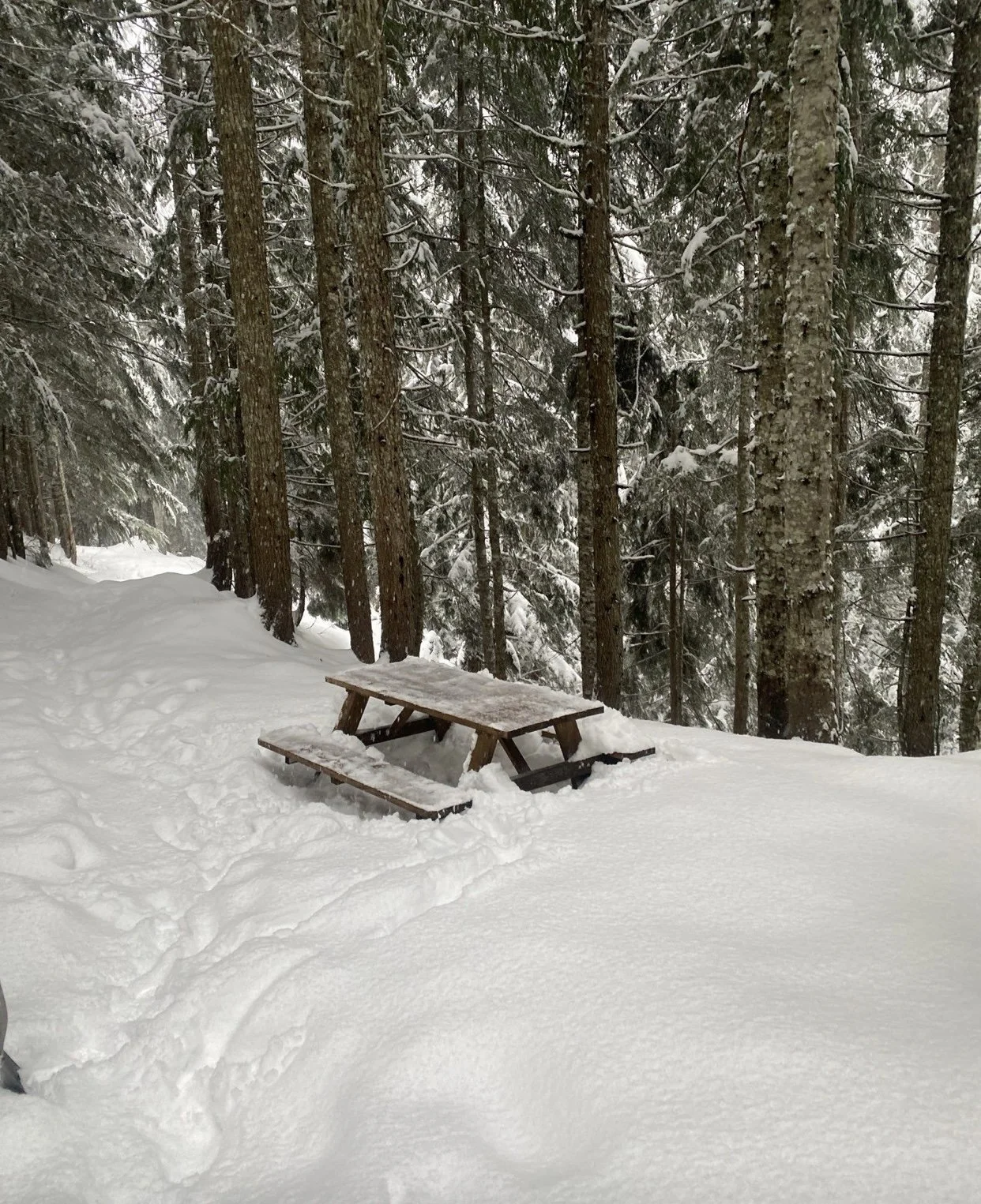 Current Conditions - January 19