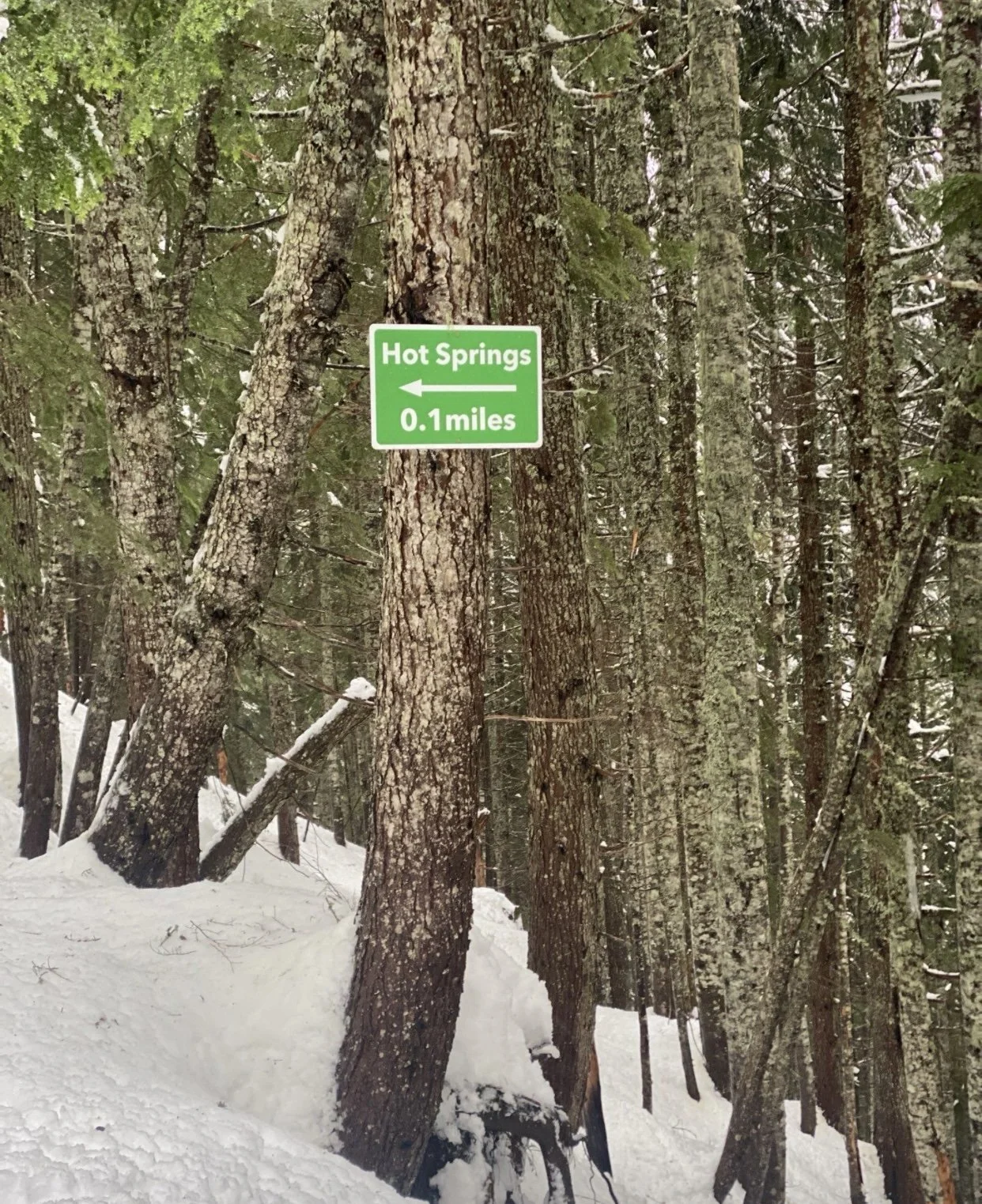 Current Conditions - January 25