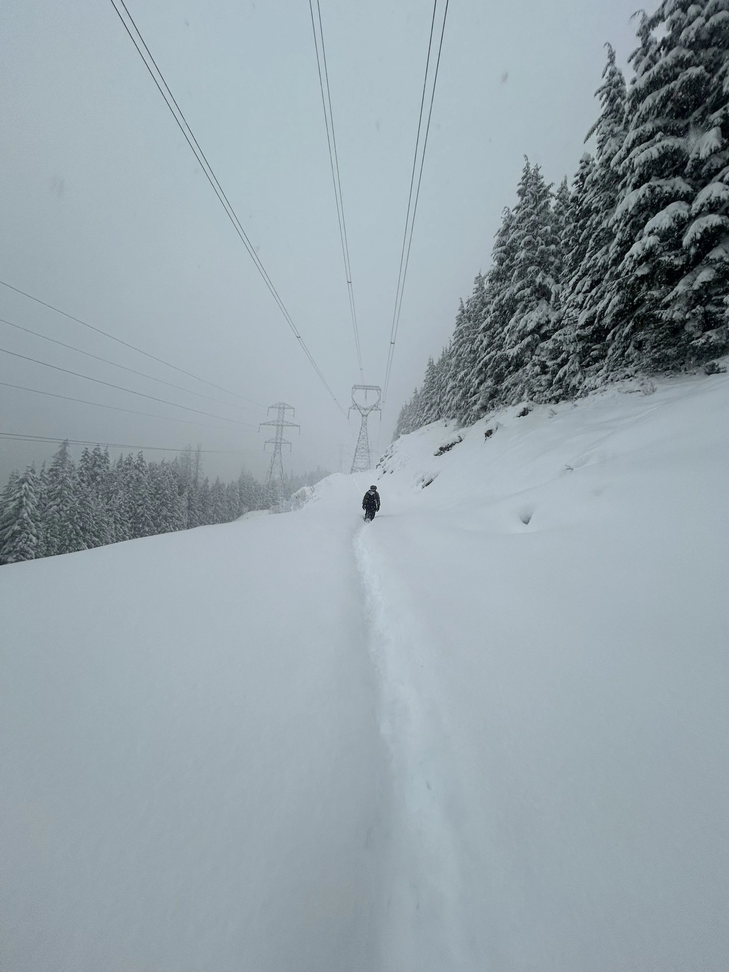 Current Conditions - March 12