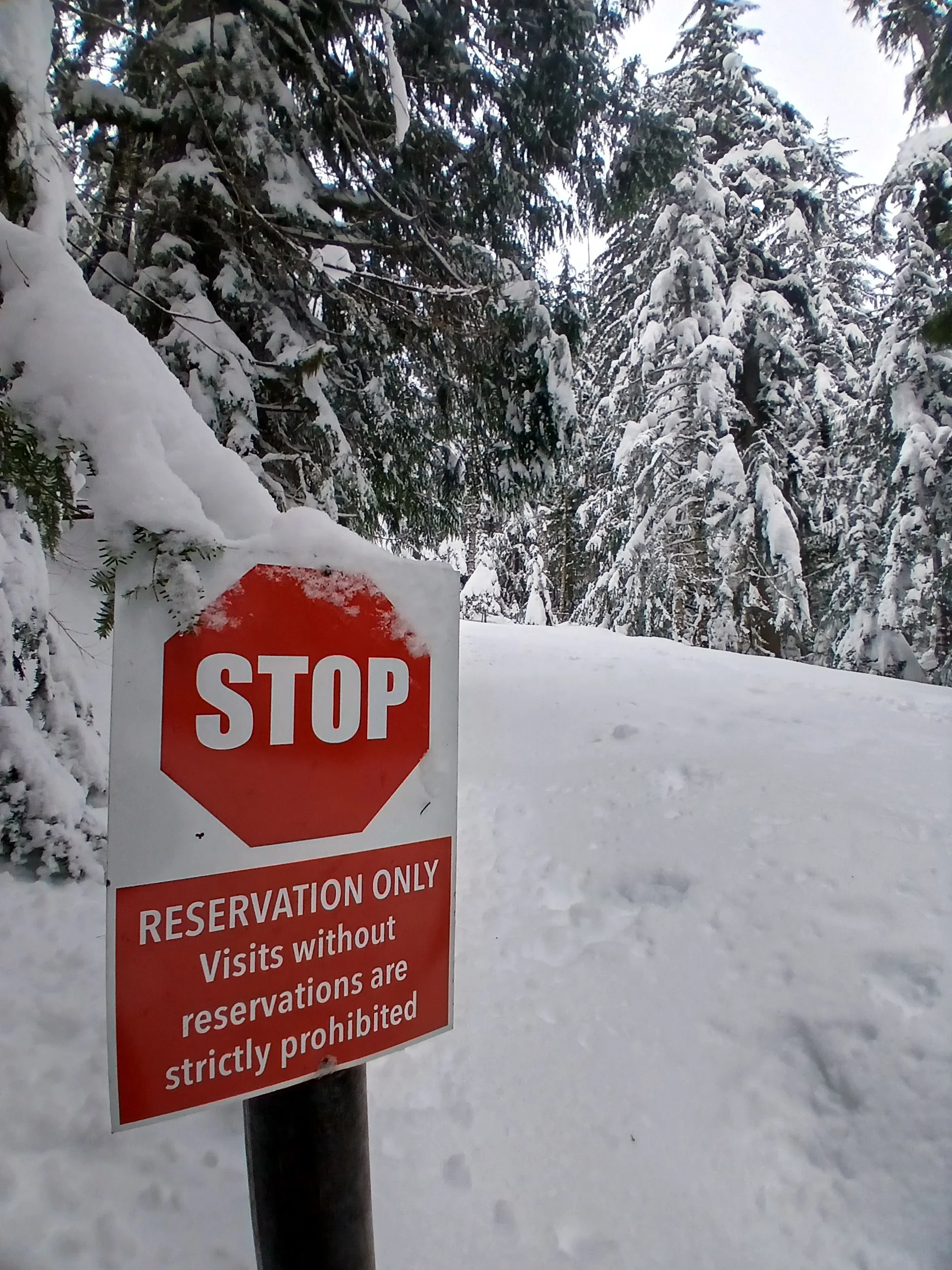 Current Conditions - March 15