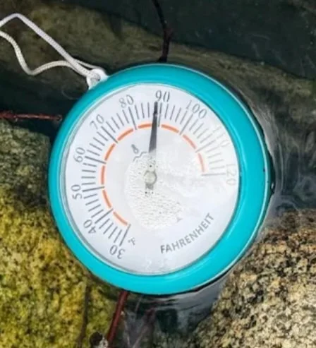 Current Conditions - March 18