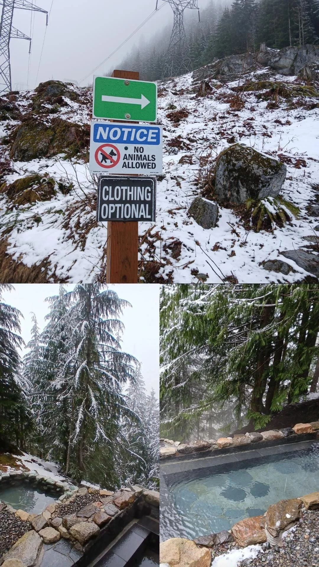 Current Conditions - April 2