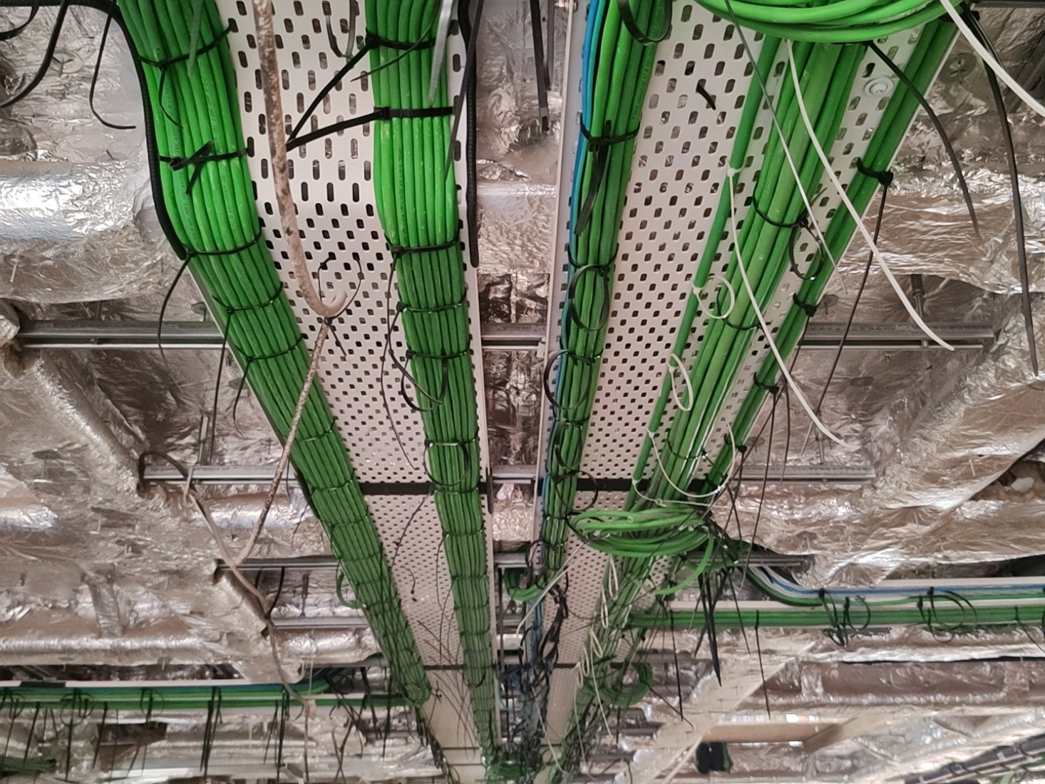 DJI_20250626_161149_134.jpg