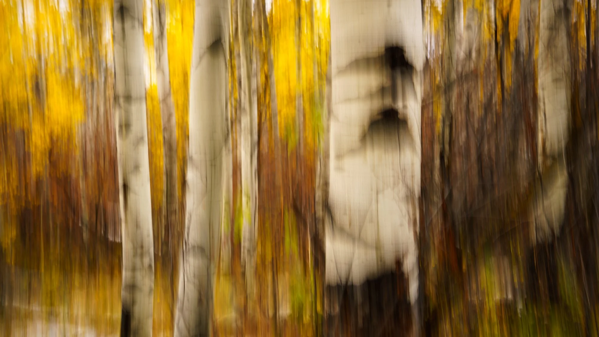 Of Warmth and Movement Mary Perry Art.jpeg